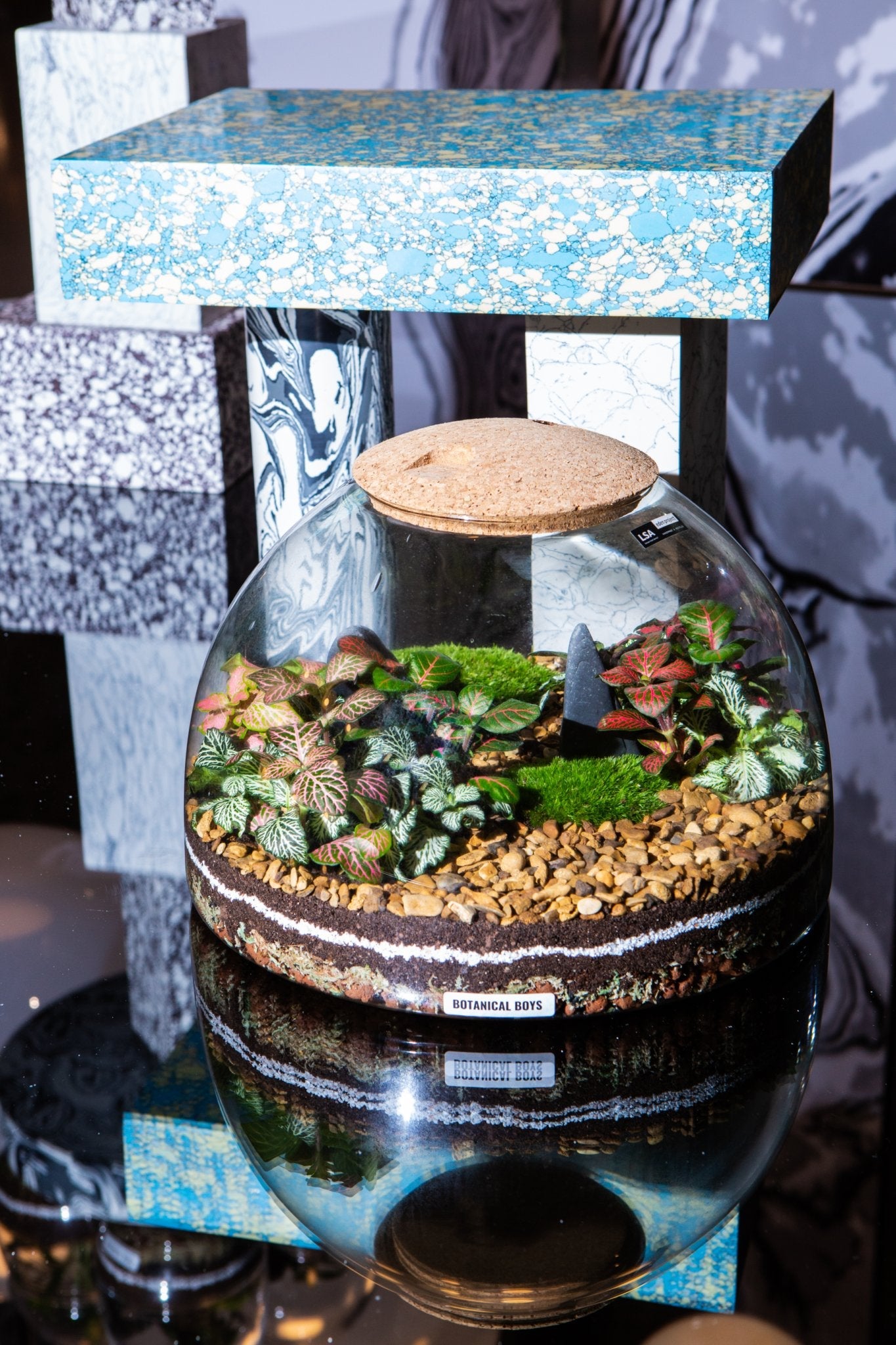 Eden Dome Terrarium 22cm