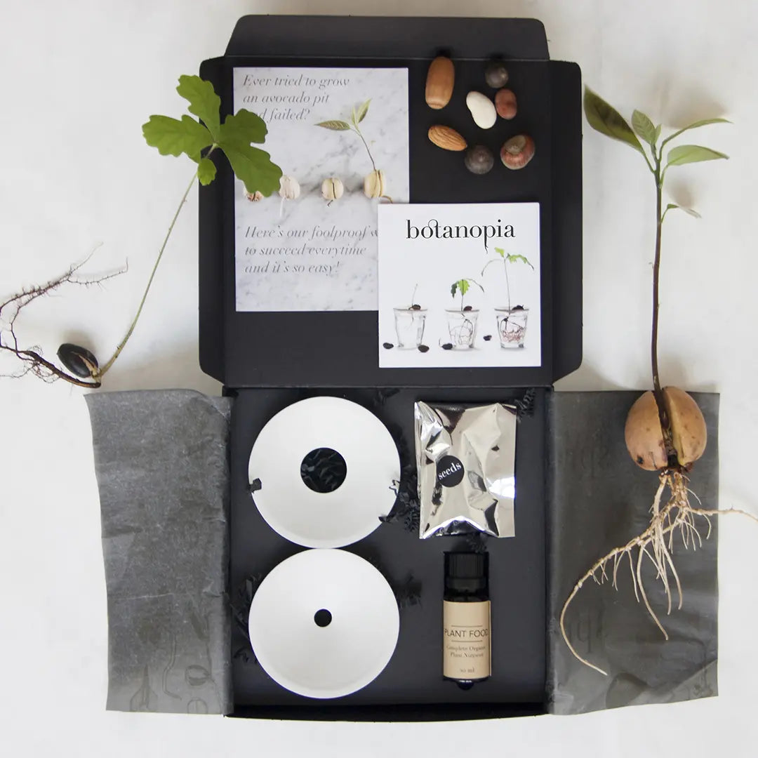 Germination & Propagation Gift Set