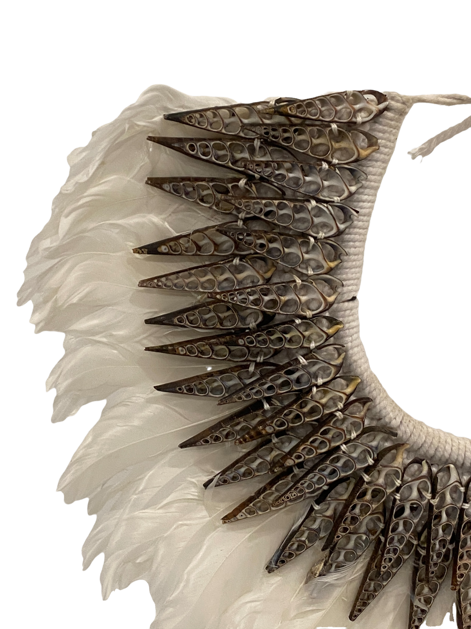 Handmade Feather & Shell necklace (2204)