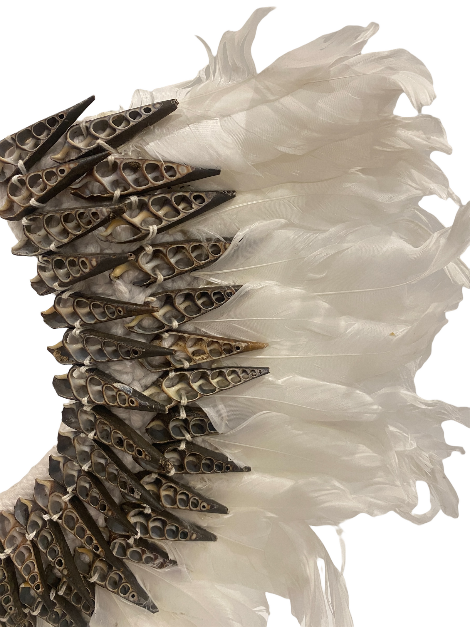 Feather & shell necklace (22.5) white
