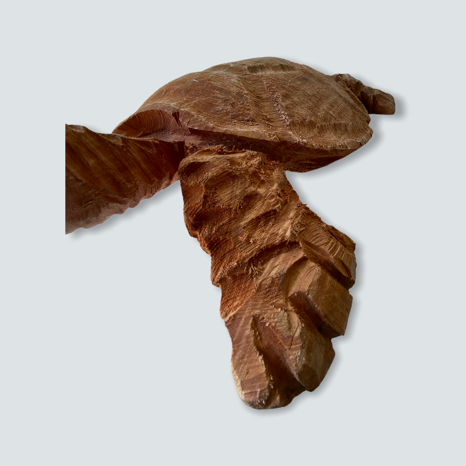 Mozambique hand carved Sea Turtle XL - (01)