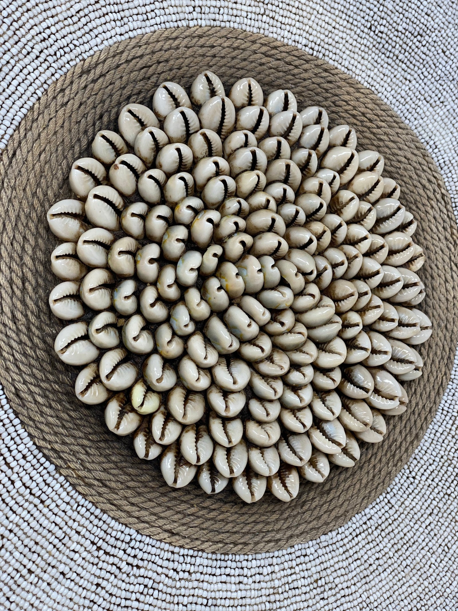 Cameroon Shield - L - 55cm - White