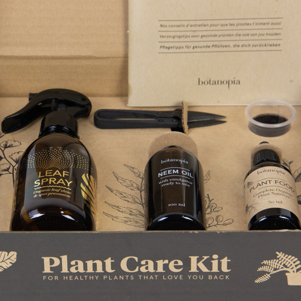 House Plant Care Kit