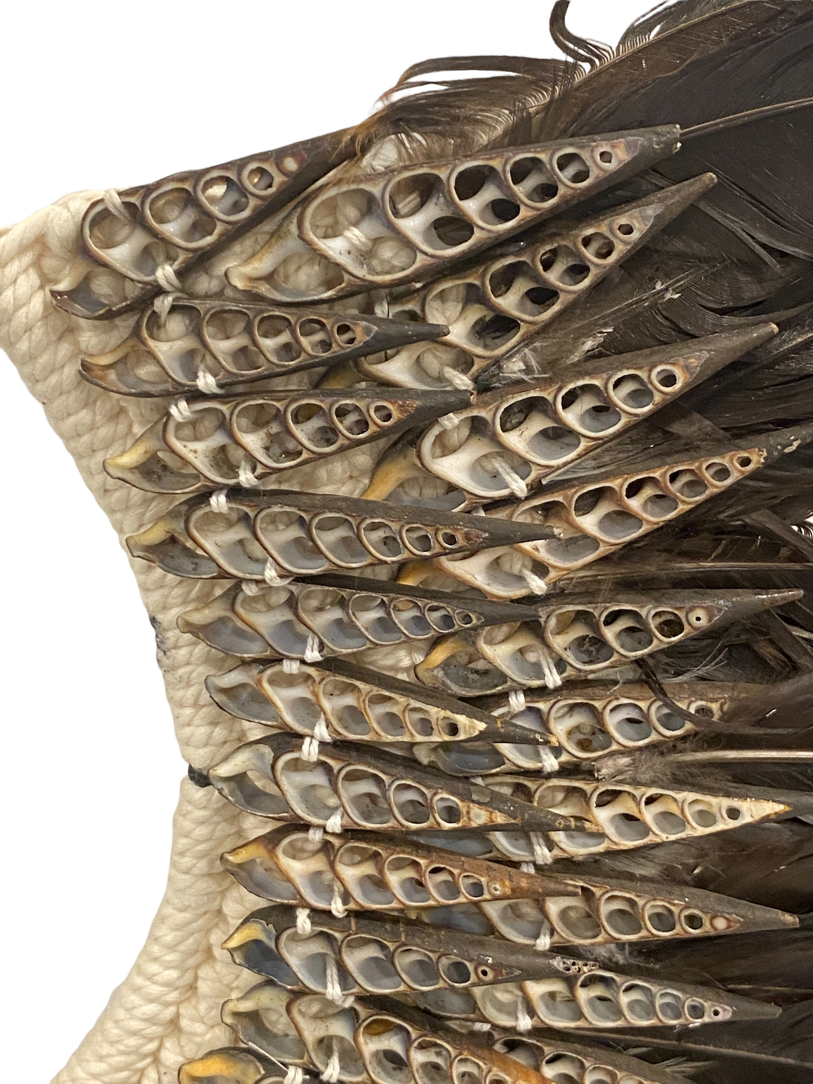 Handmade Feather & Shell necklace (2202)