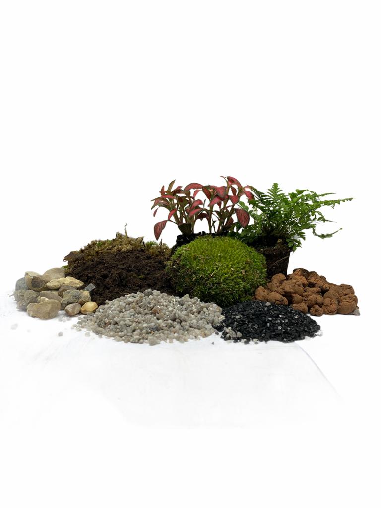 Terrarium Class - Upgrade masterclass cork jar
