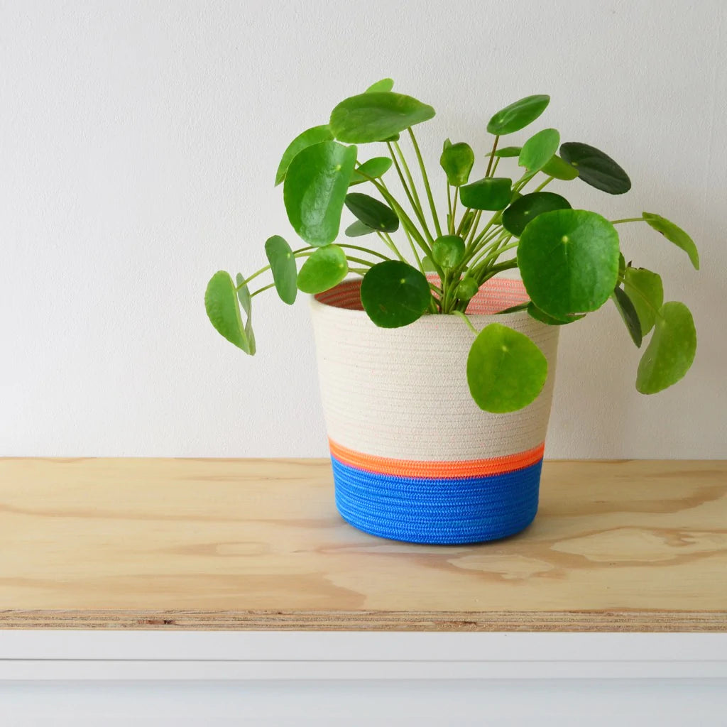 Planter Basket 100% cotton (17.3) Blue