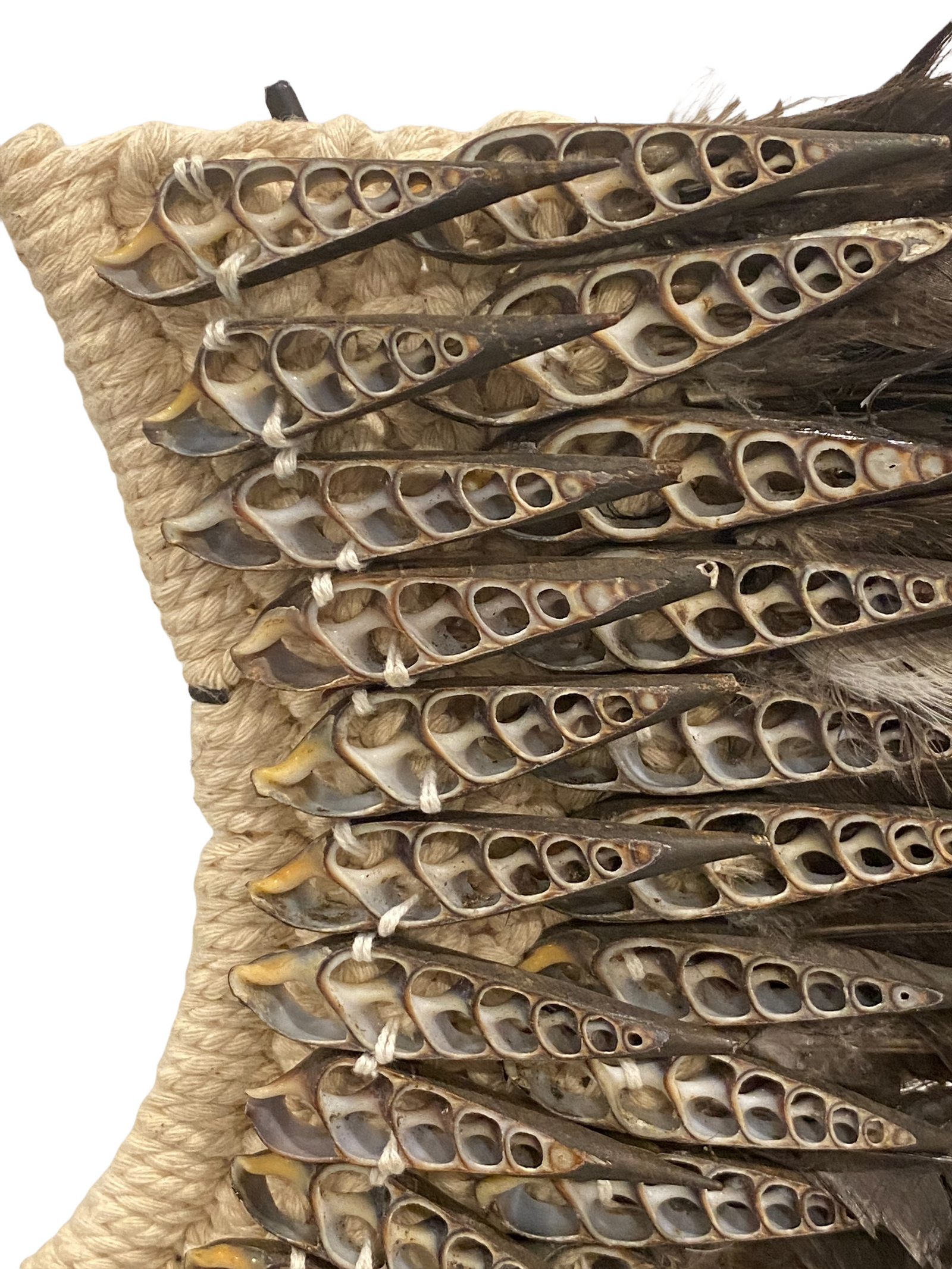 Handmade Feather & Shell necklace (2201)