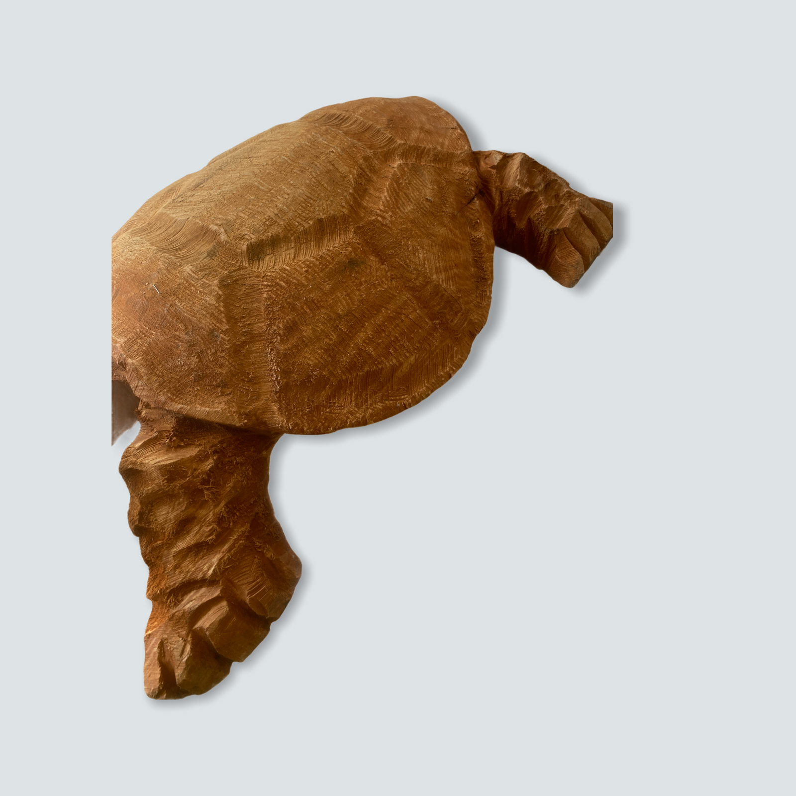 Mozambique hand carved Sea Turtle XL - (01)