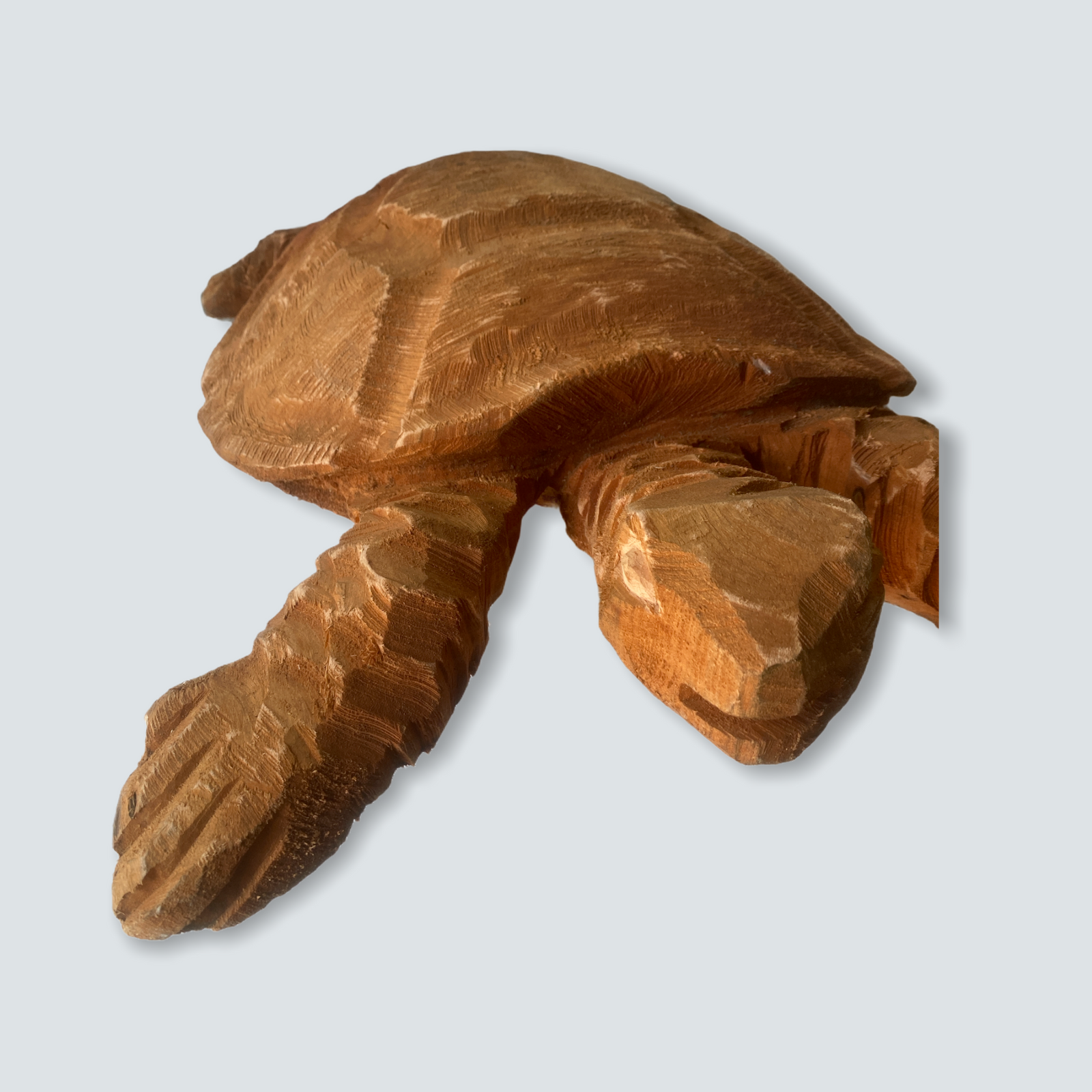 Mozambique hand carved Sea Turtle XL - (02)
