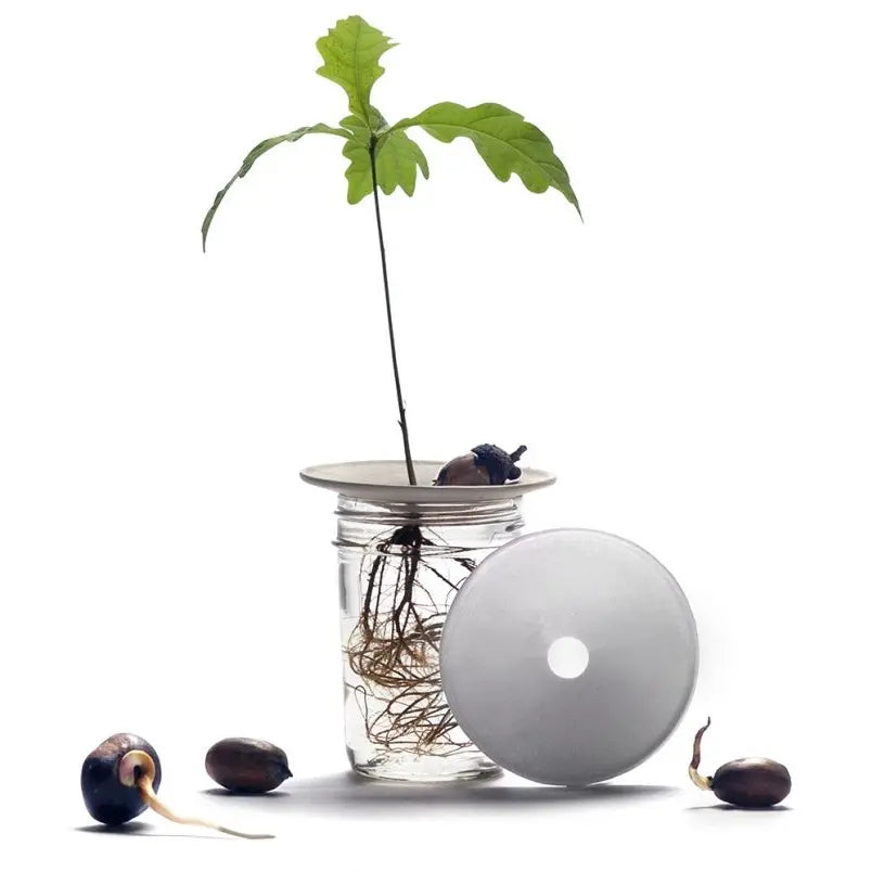 Germination & Propagation Gift Set