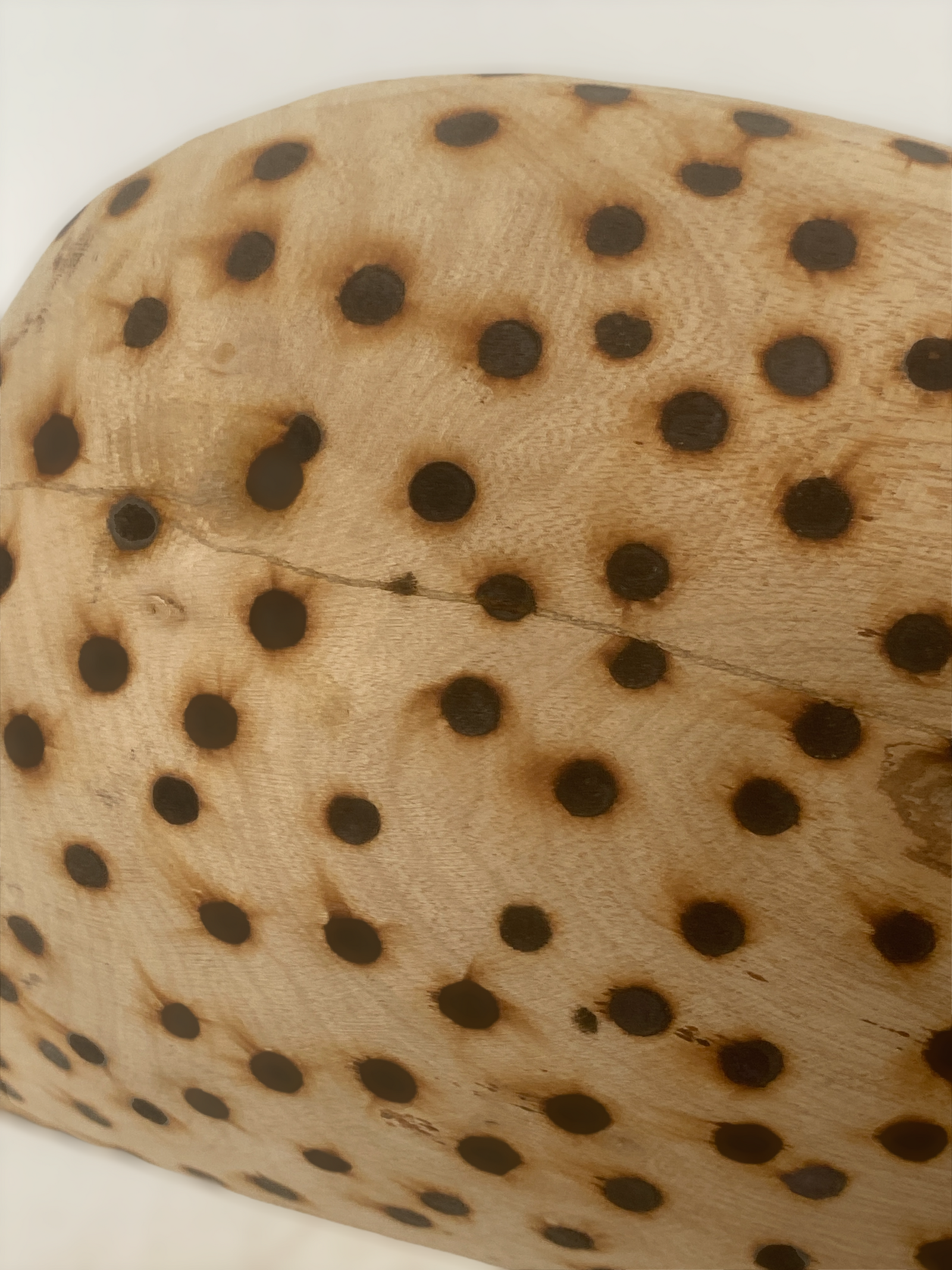 Swaziland Handmade Guinea Fowl