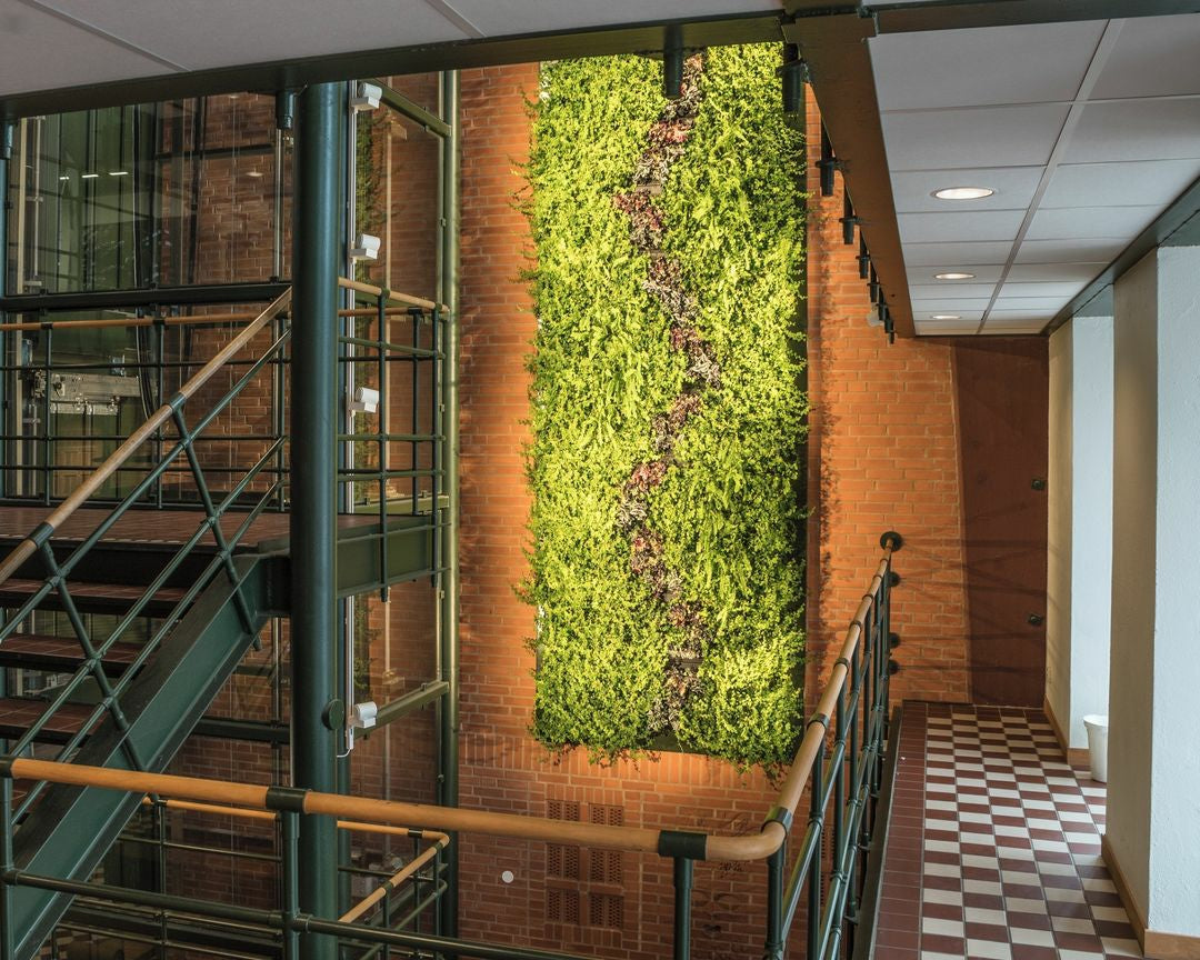 Frameless Living Wall System