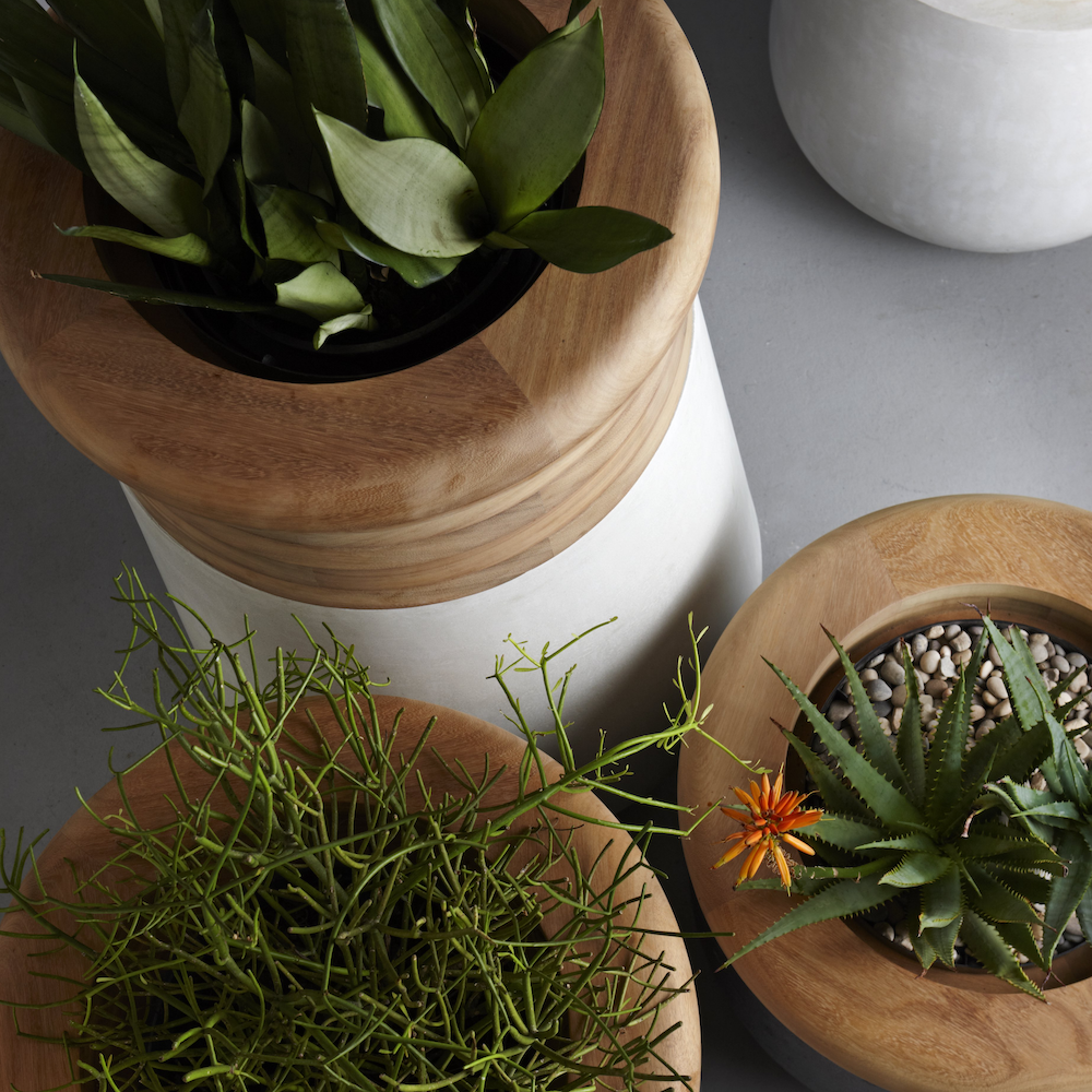 Soma Planter Wood