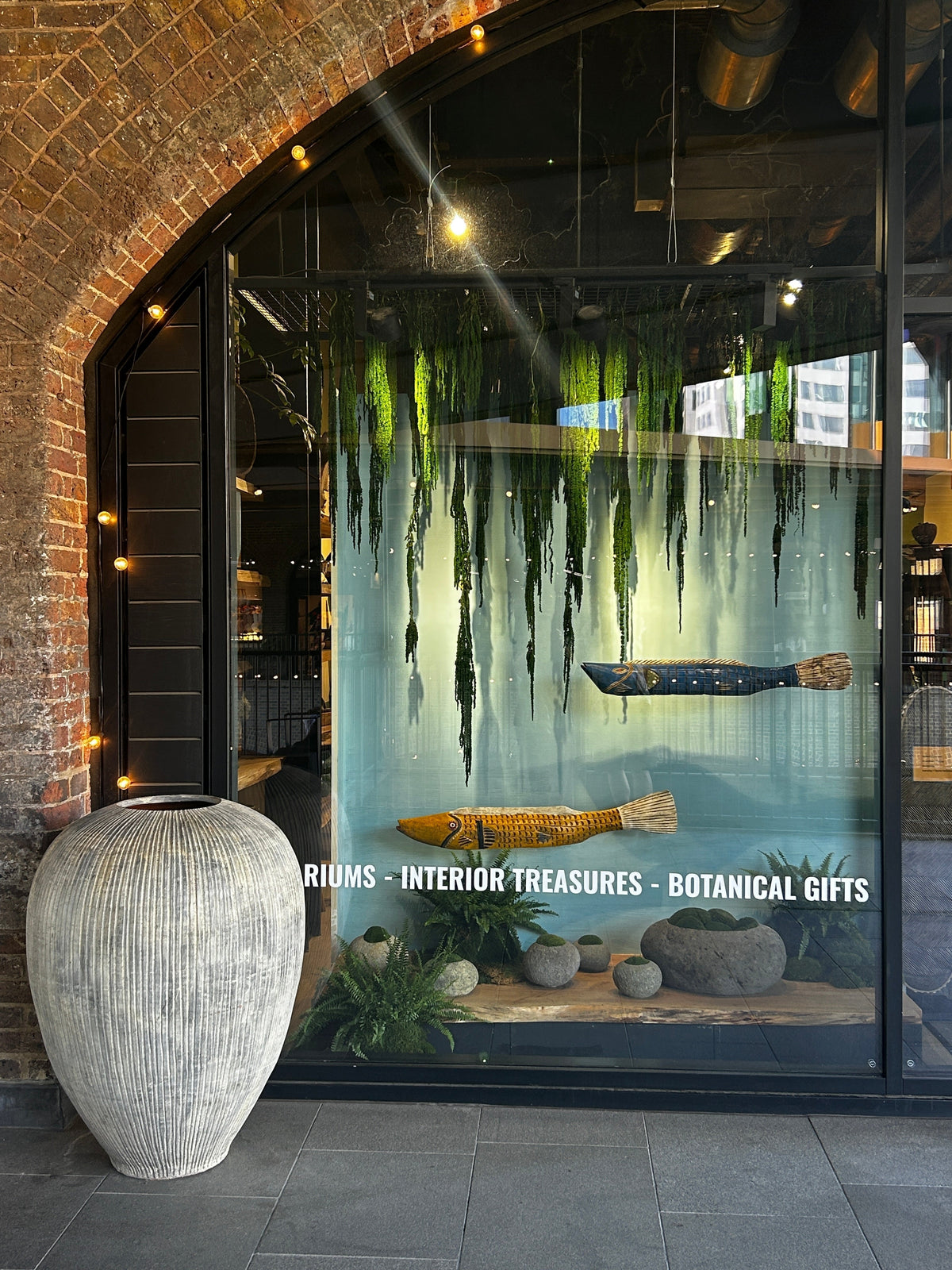 Bozo Puppet Fish: Inside Our New River-Inspired Window