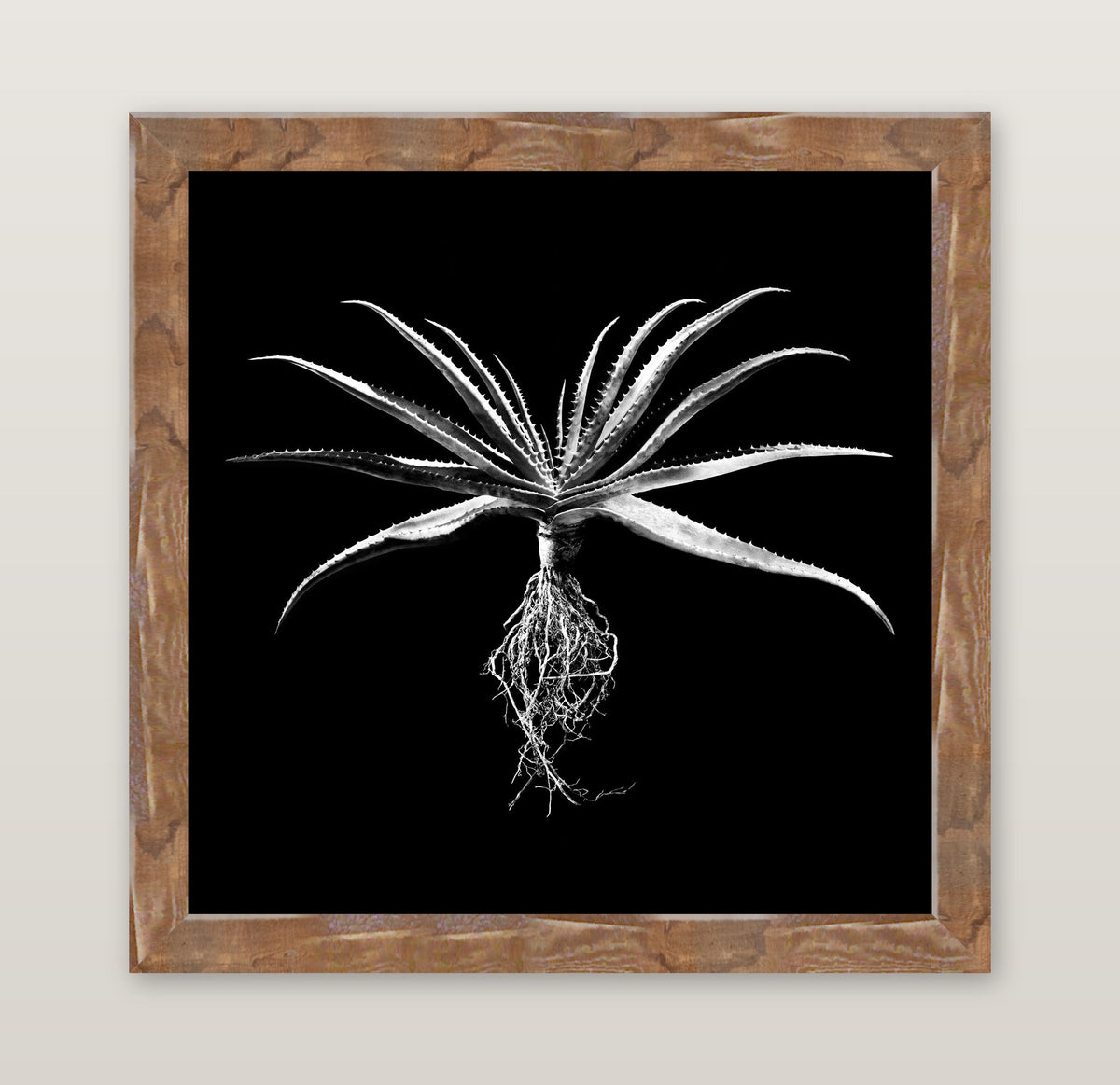 framed