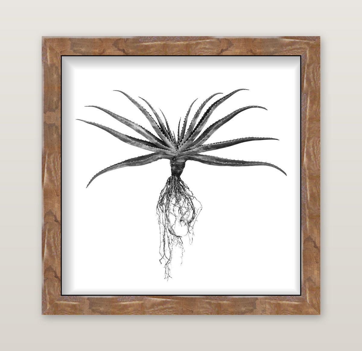 framed