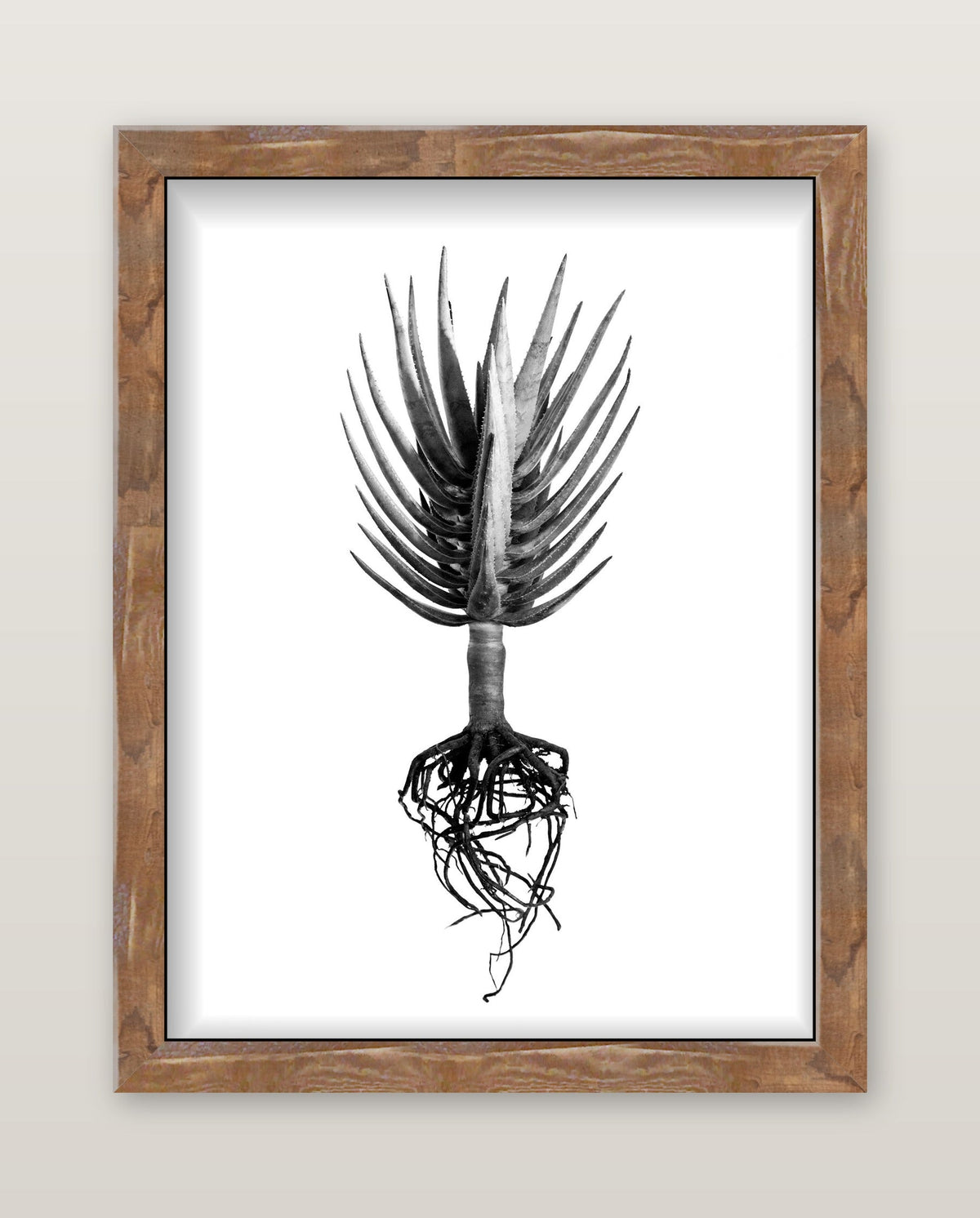 framed