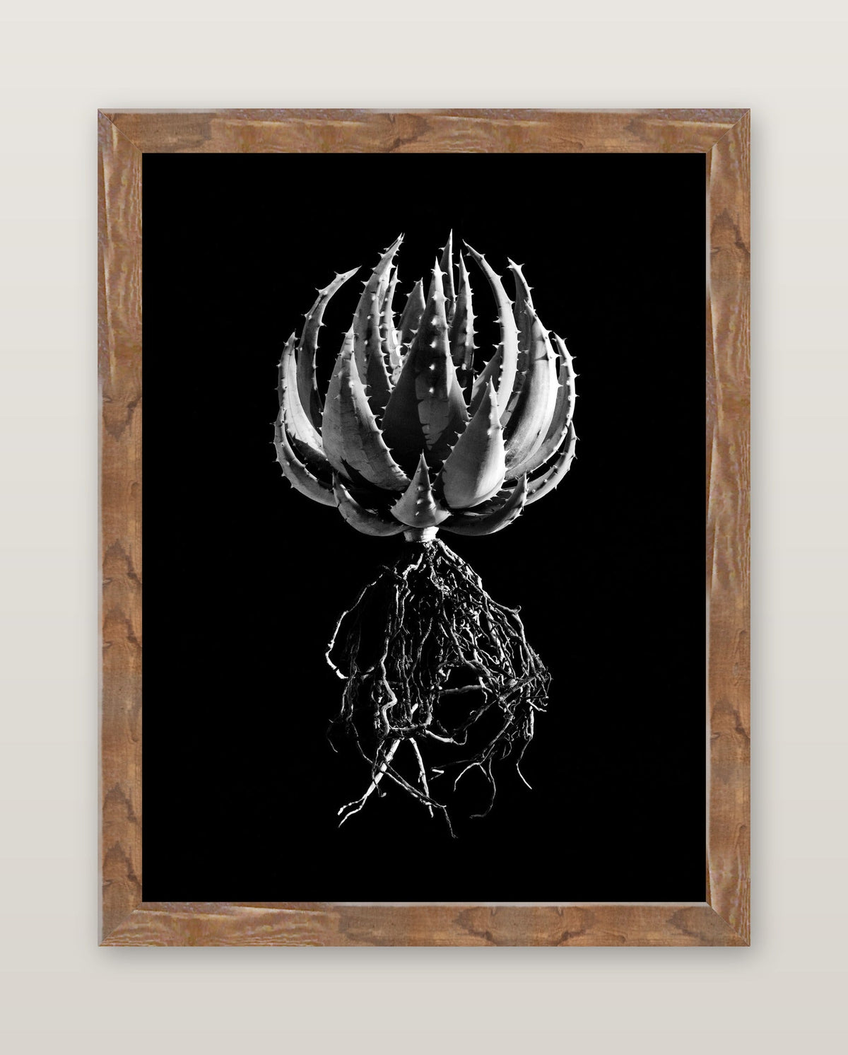 framed