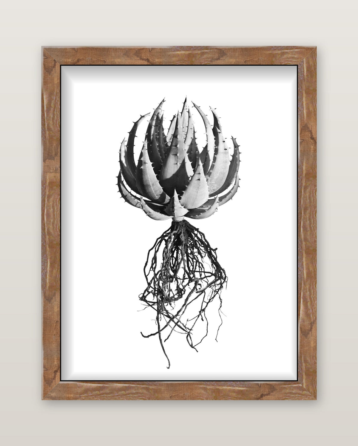 framed