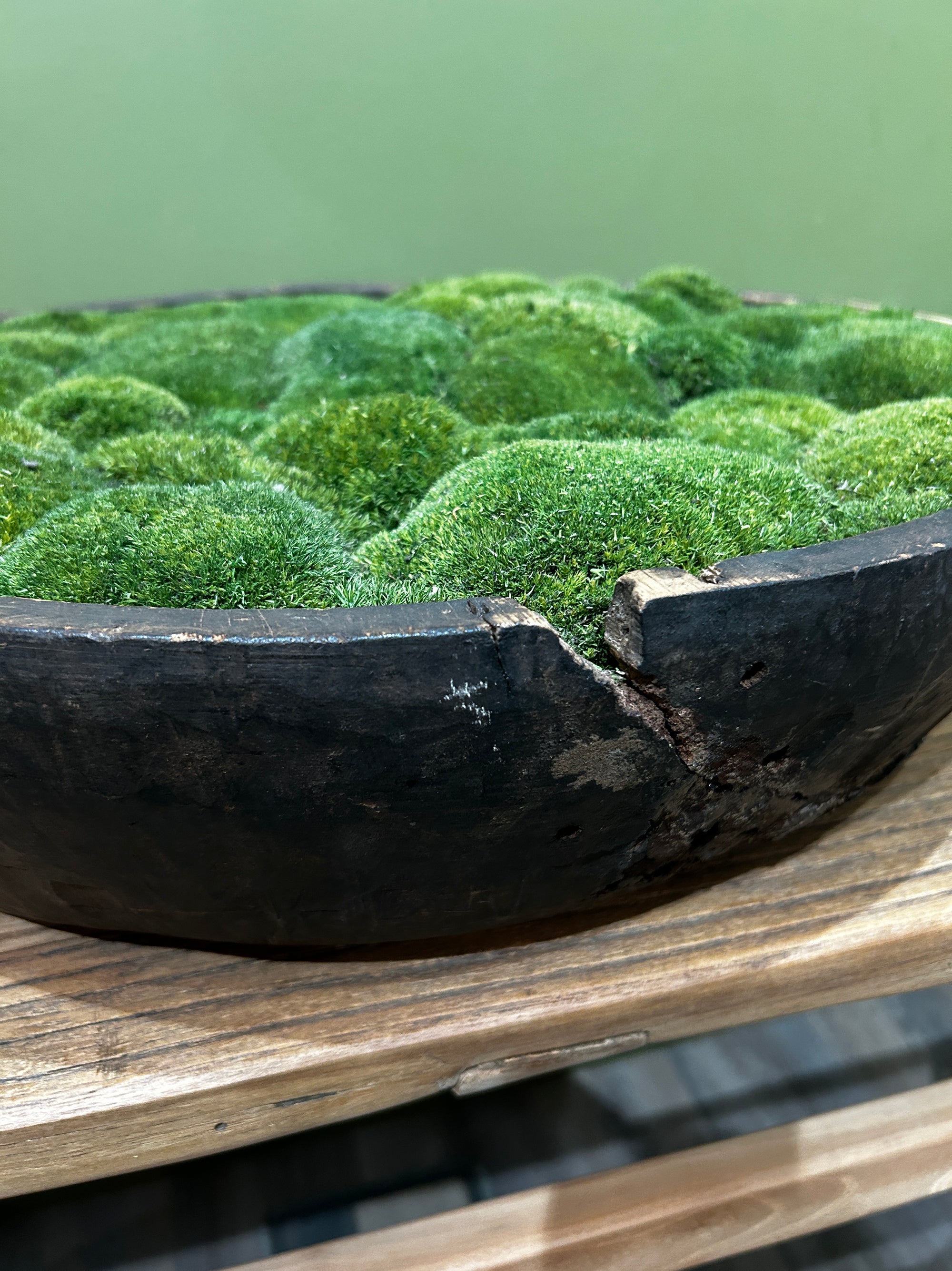 Vintage Wooden Bowl with moss FR65