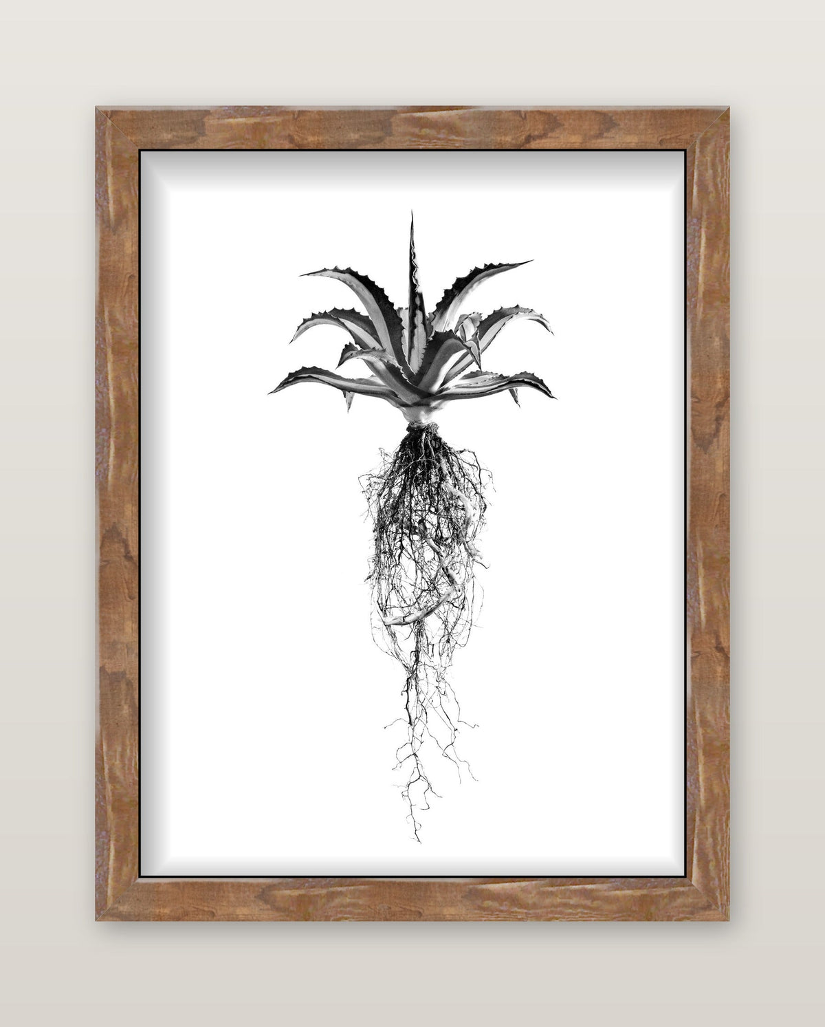 framed