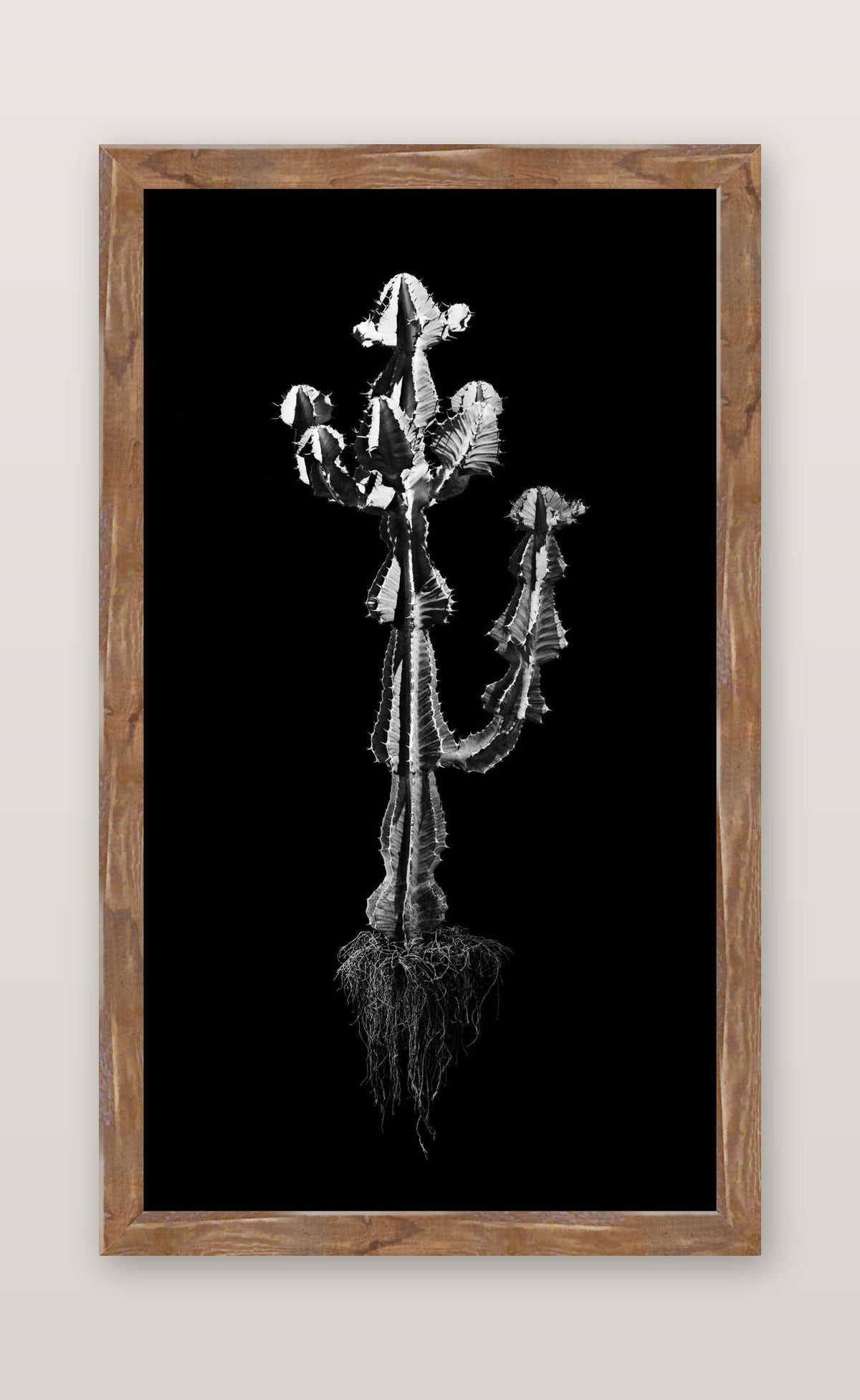 framed