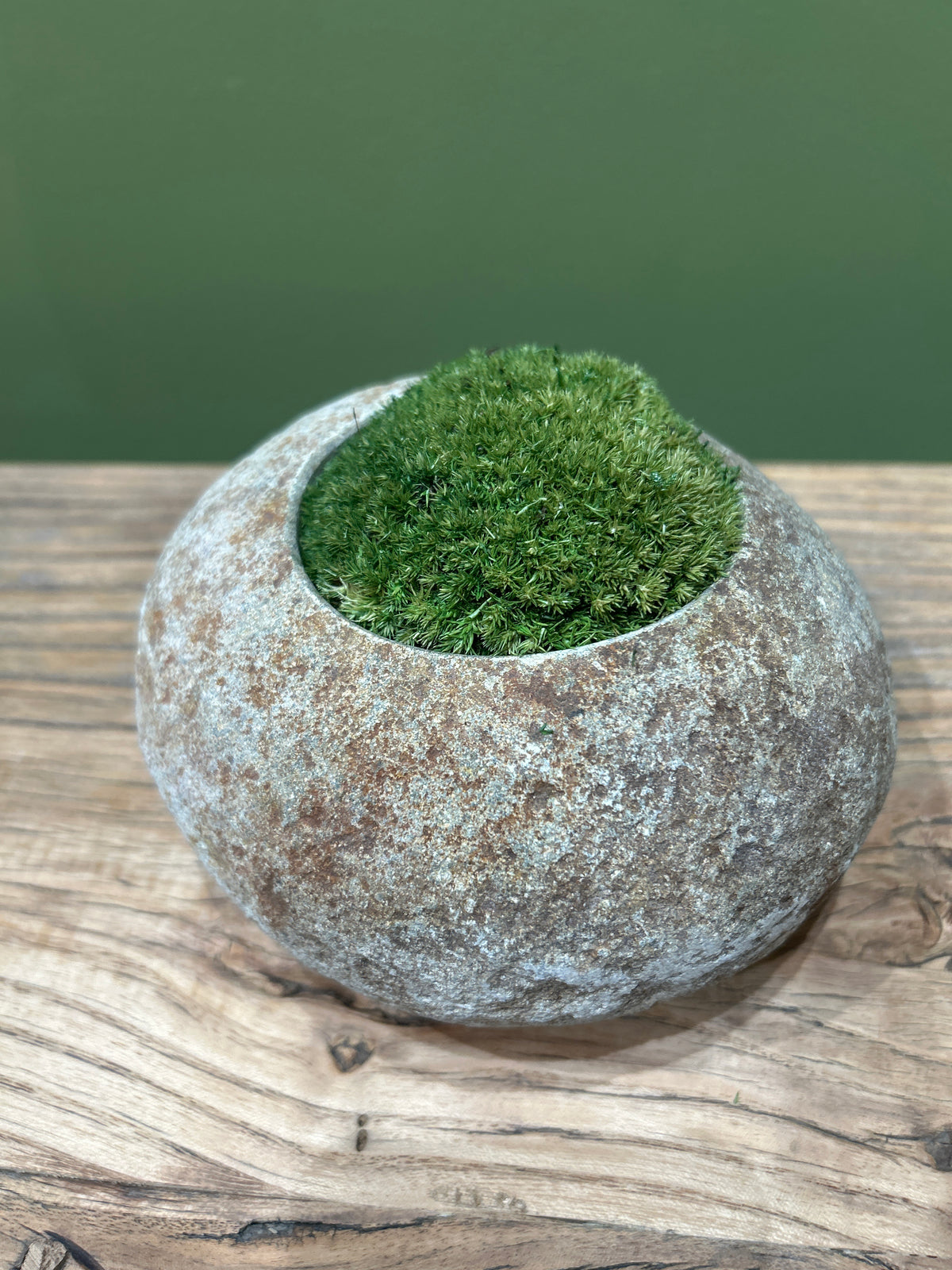 Indo Riverstone planted with Preserved Moss FR70