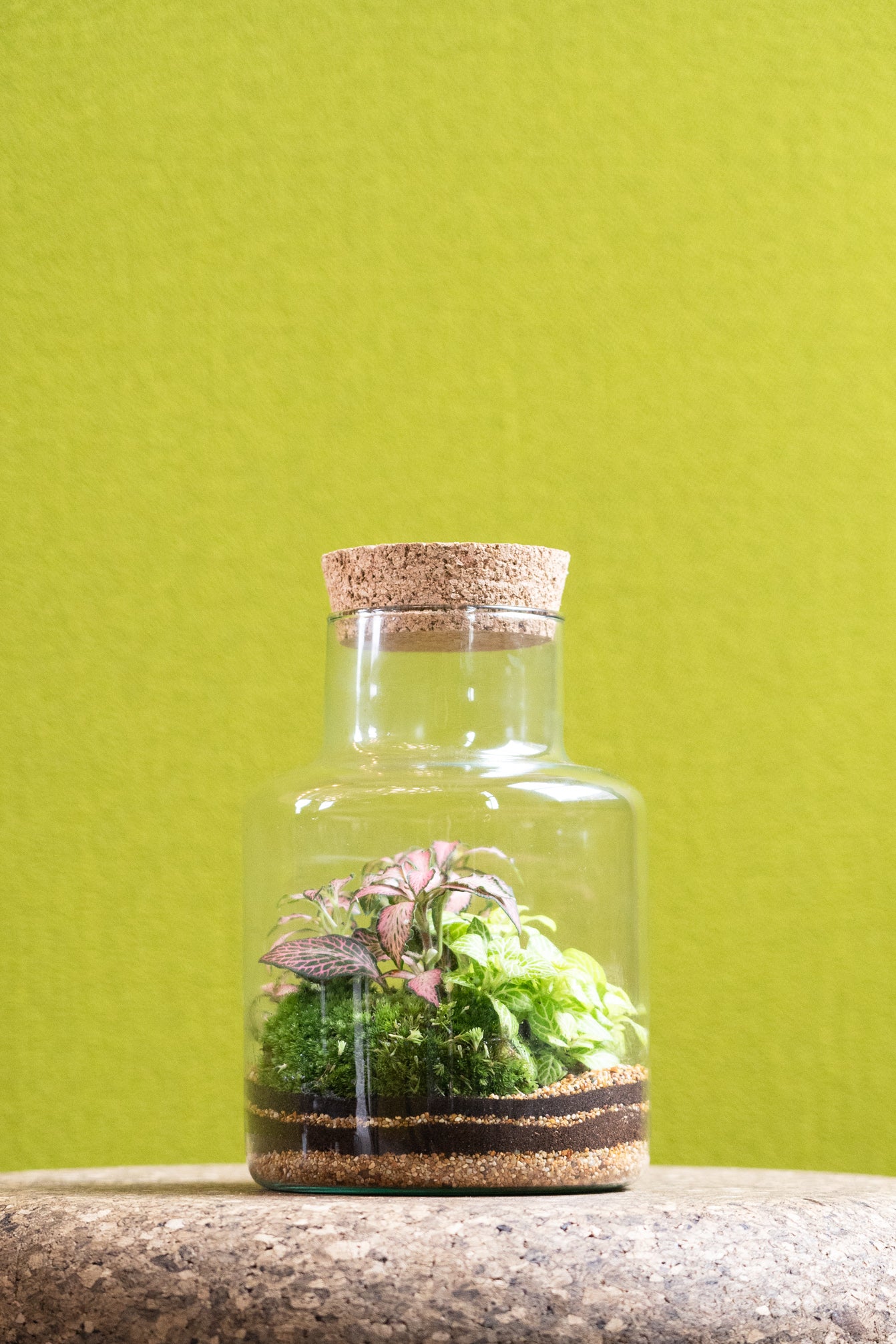 Slim Cork Jar Terrarium 19cm