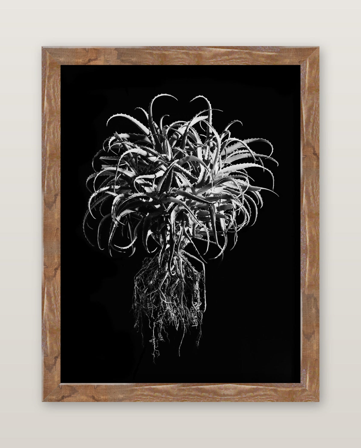 framed