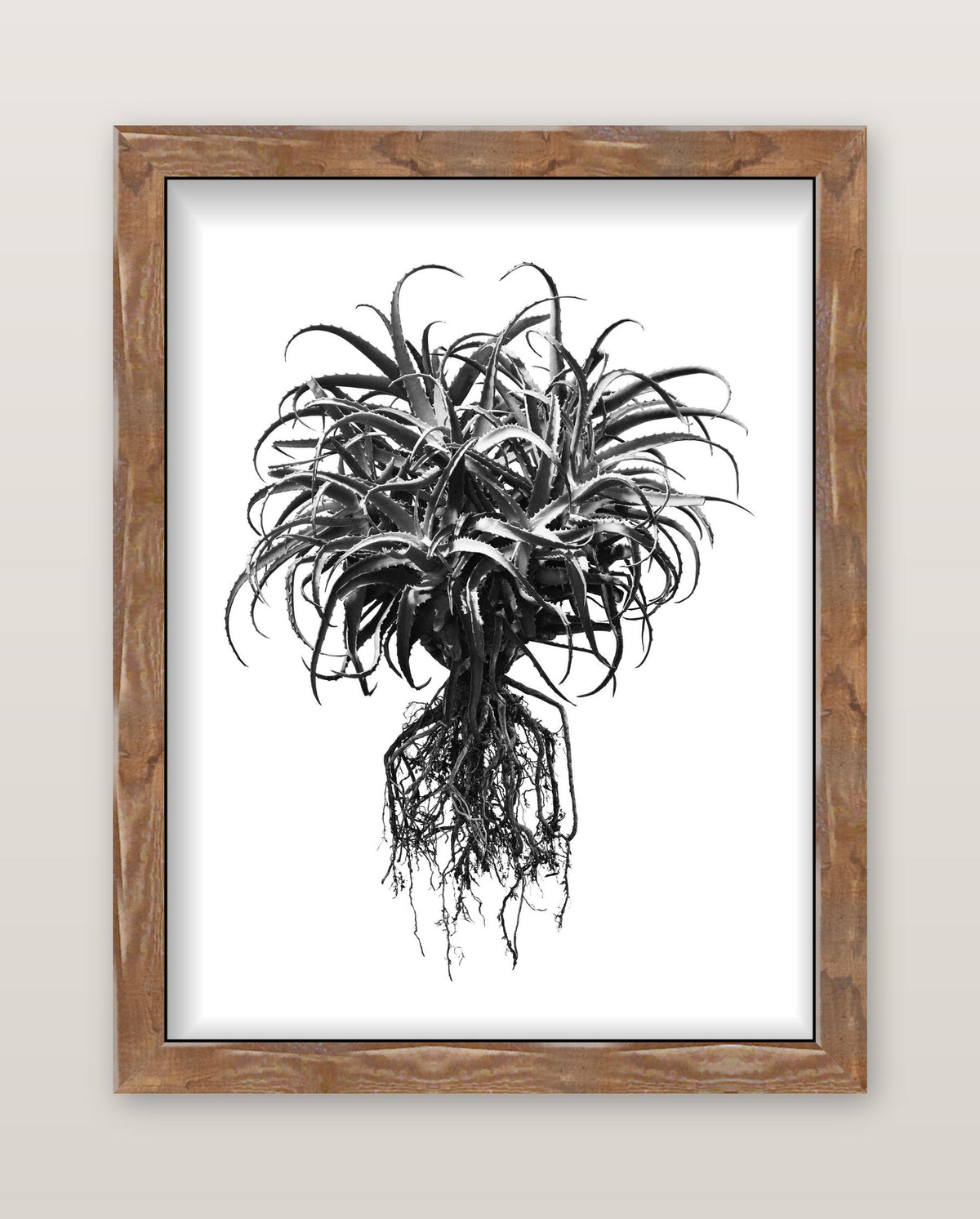 framed