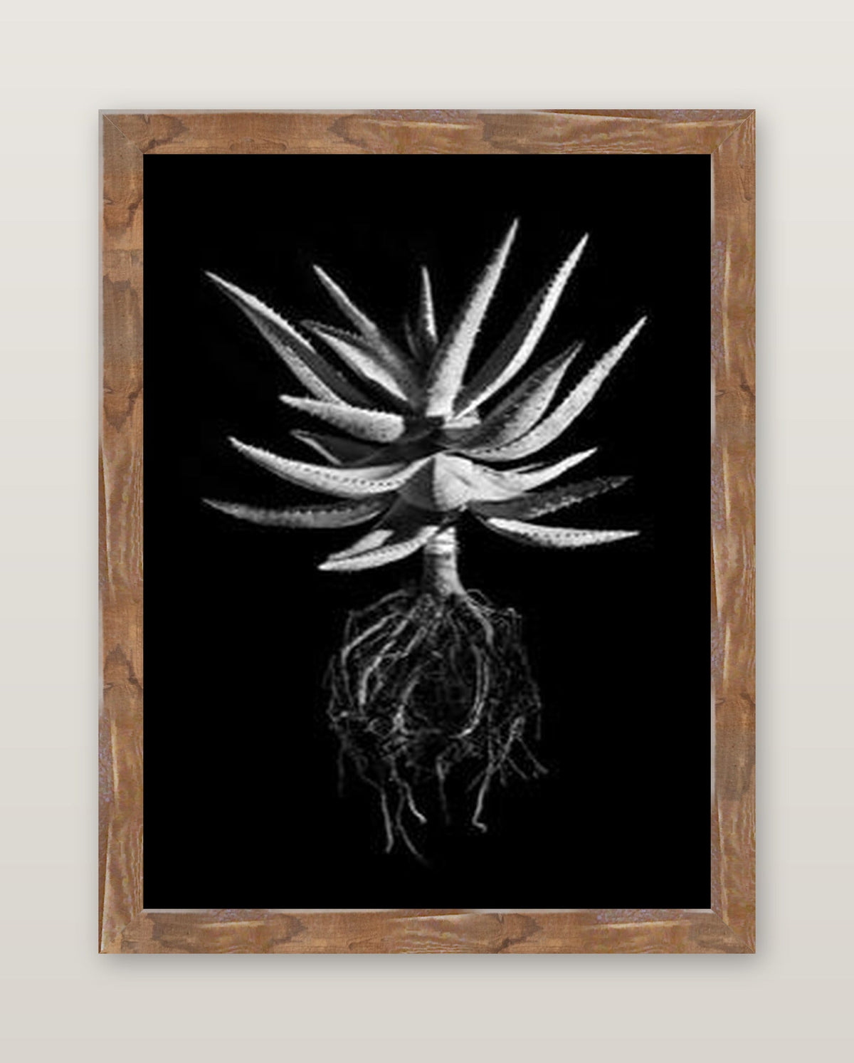 framed