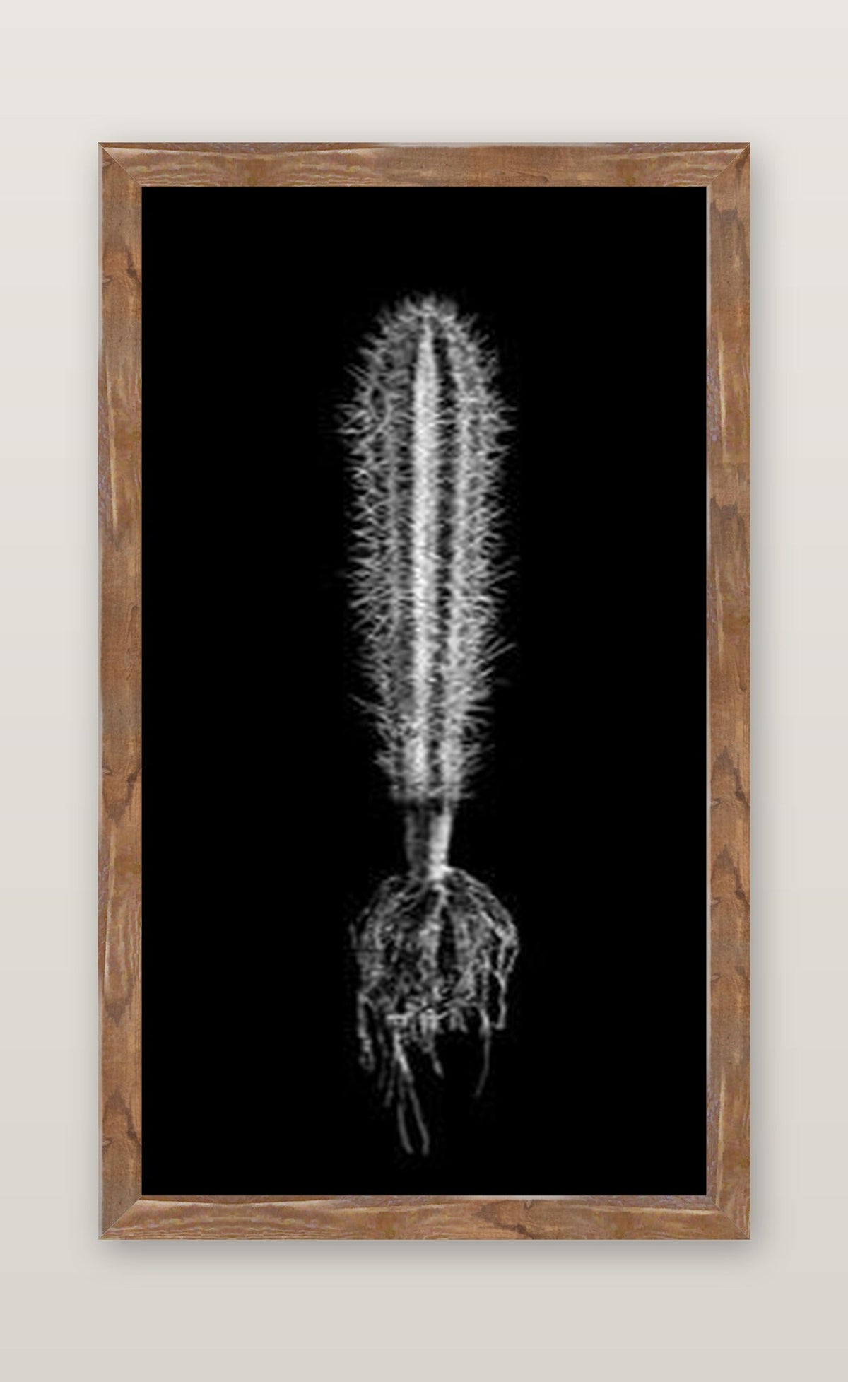 framed