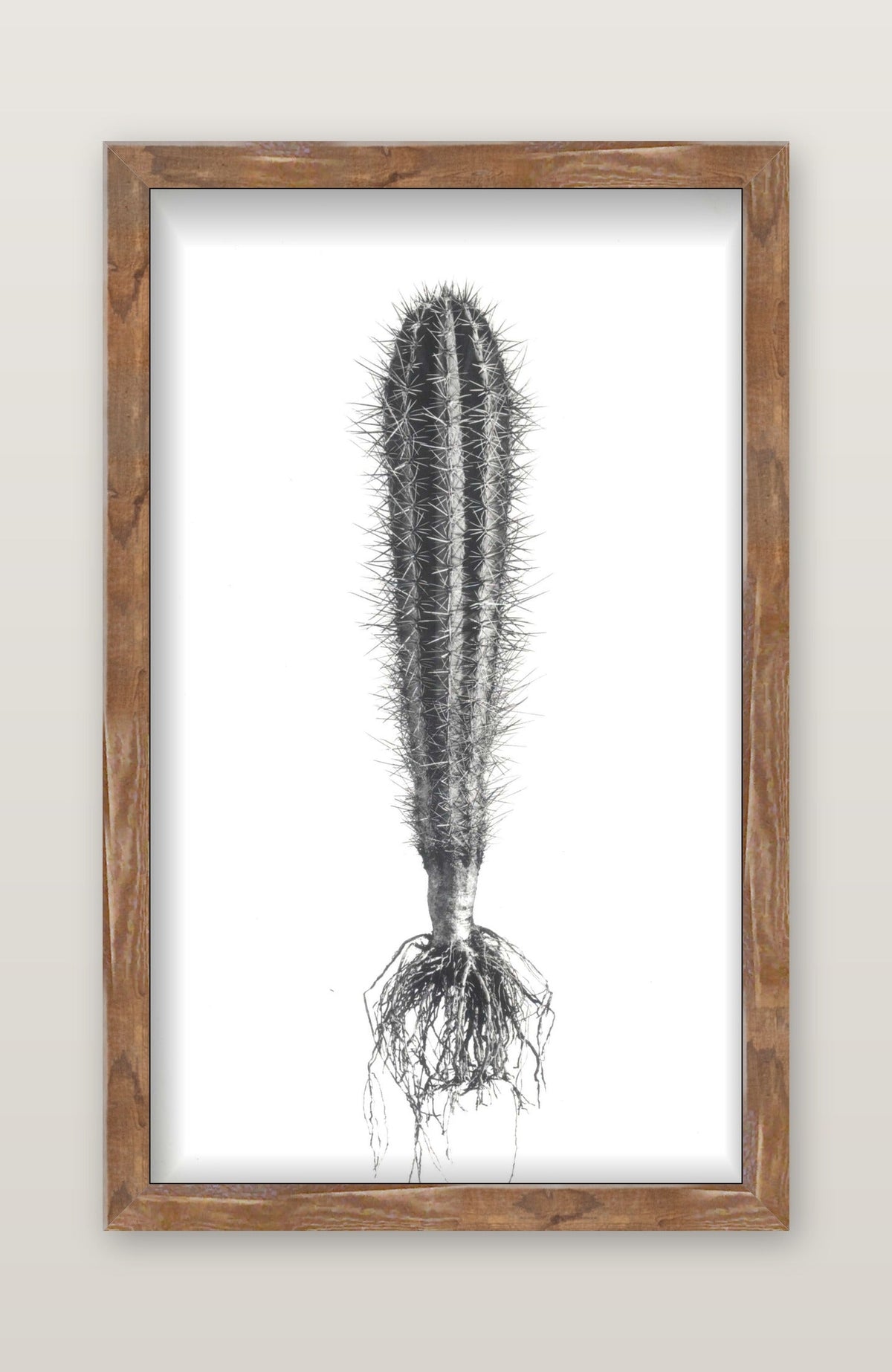 framed
