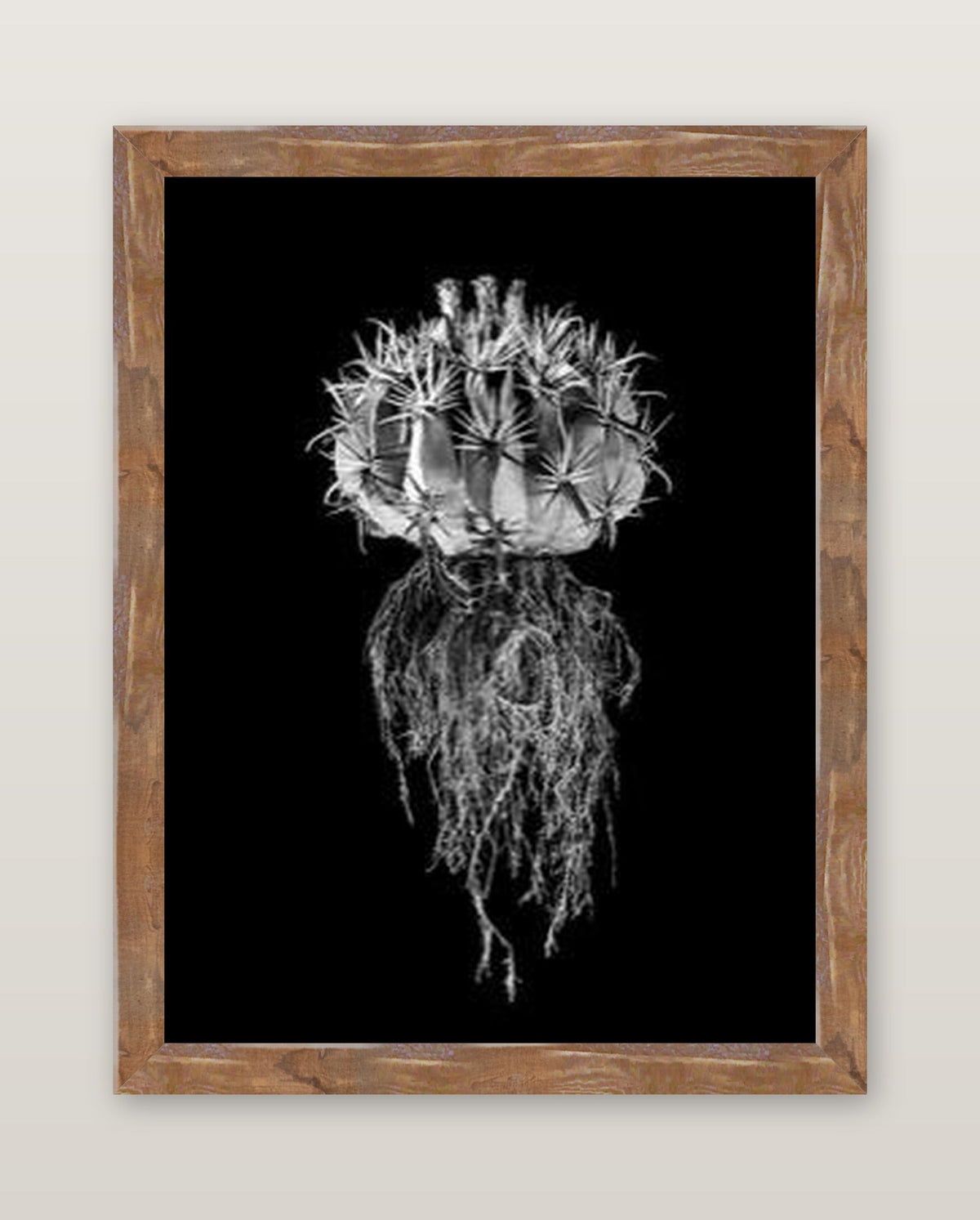 framed