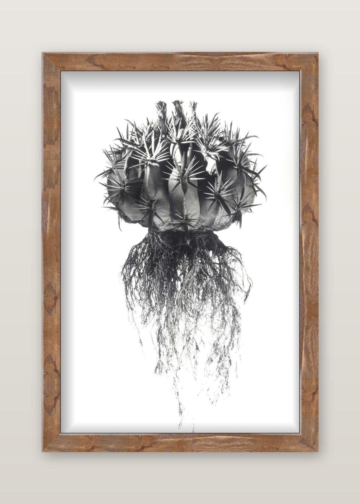 framed