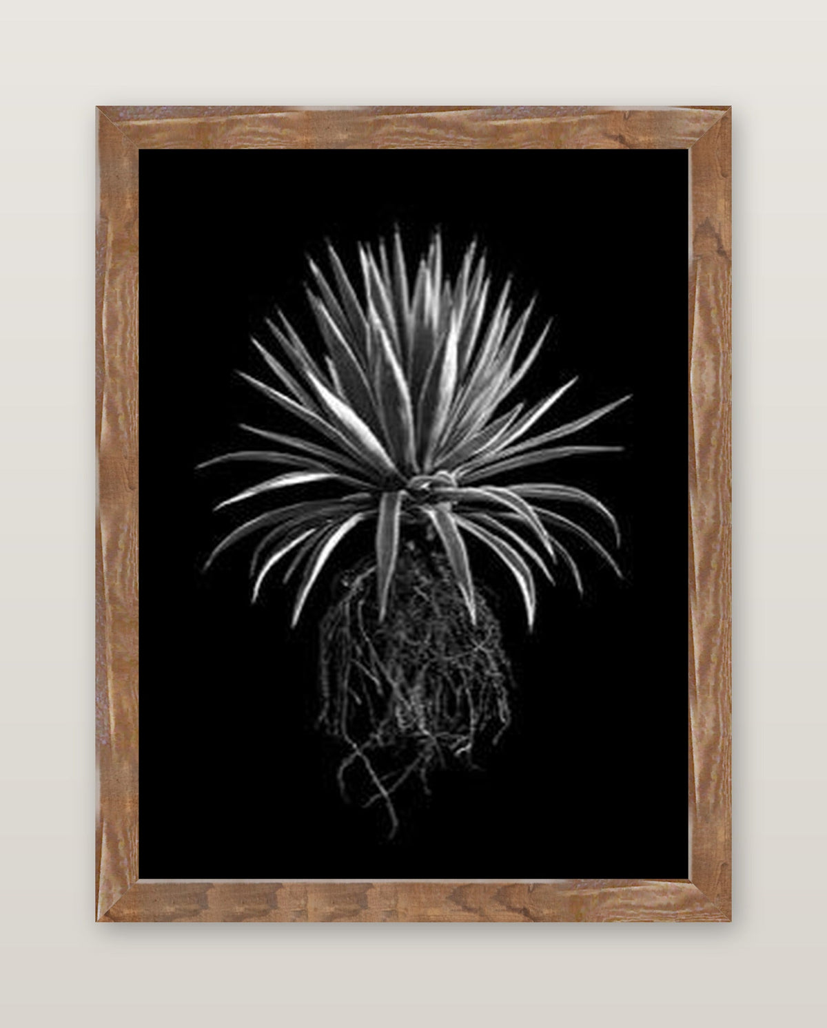 framed