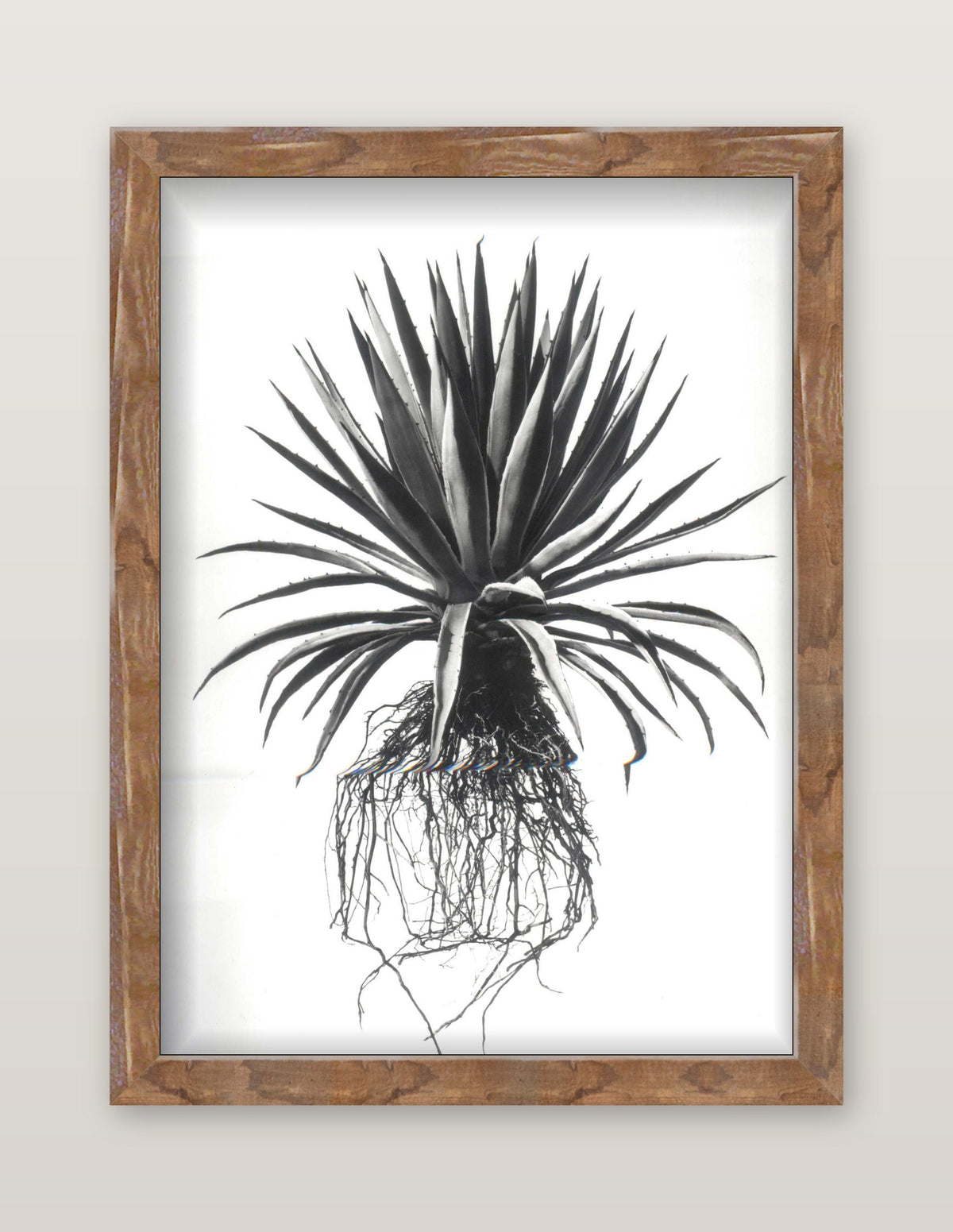 framed
