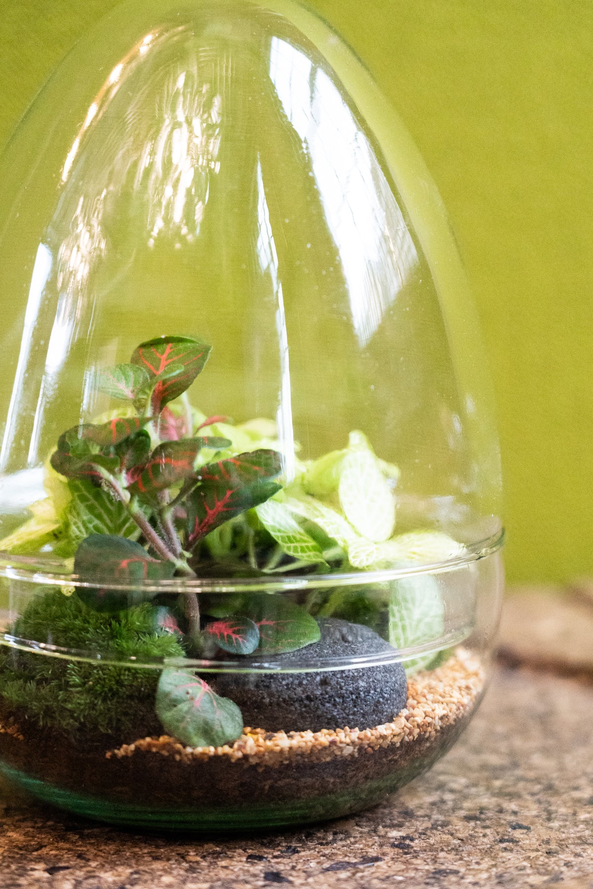 Glass Egg Terrarium 20cm