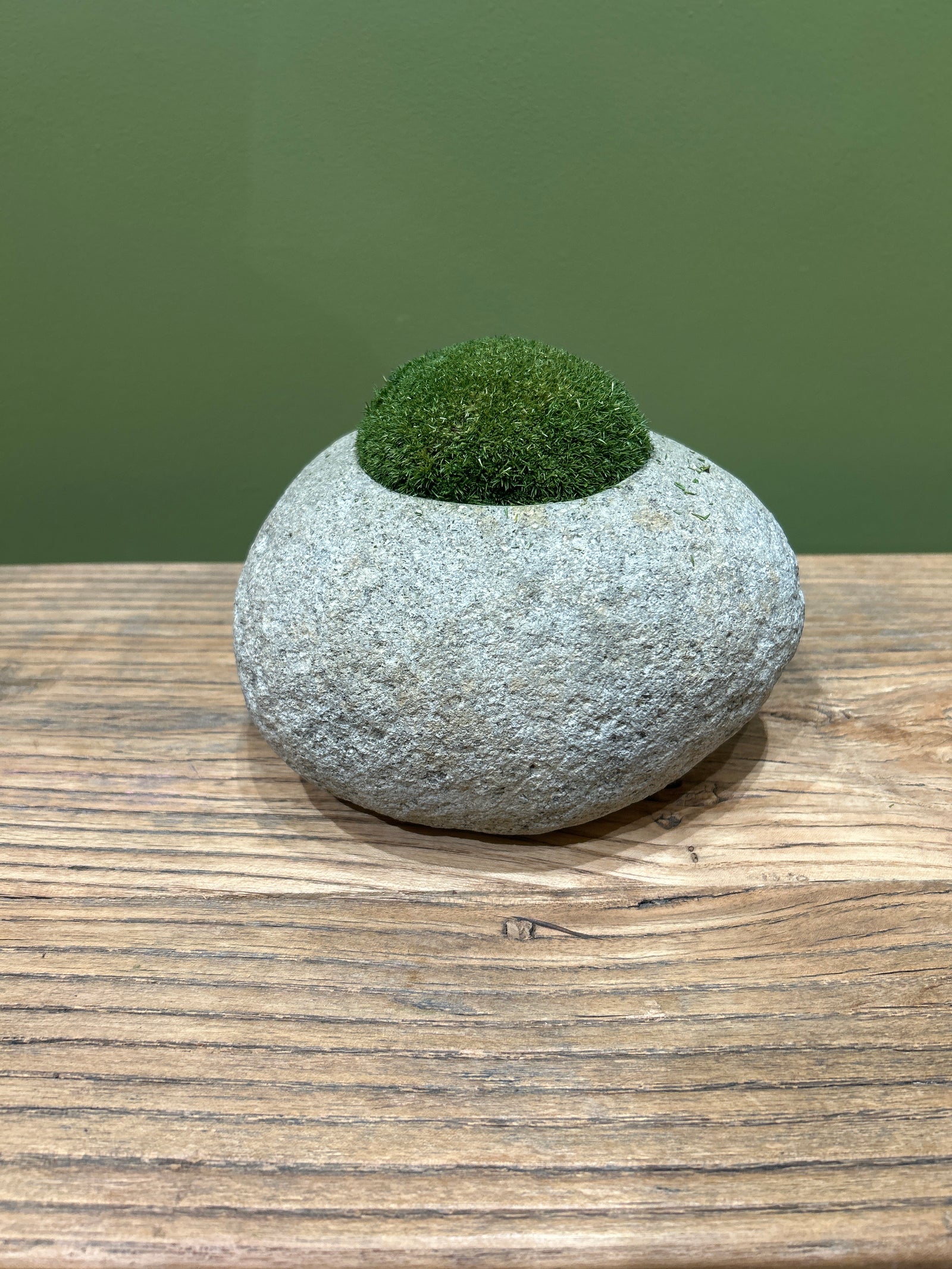 Indo Riverstone planted with Preserved Moss FR67