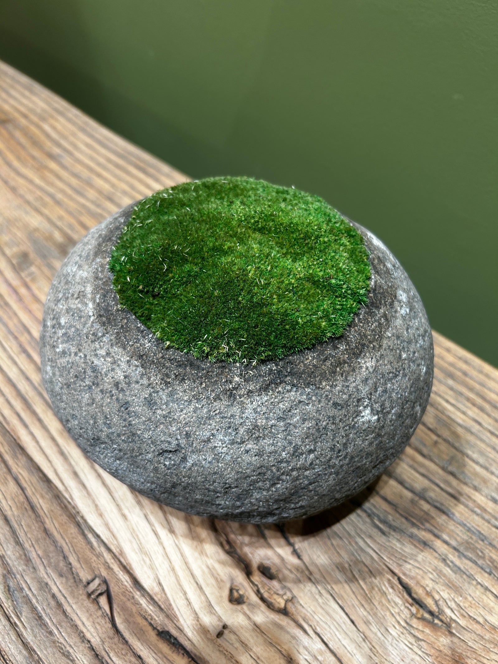 Indo Riverstone planted with Preserved Moss FR66