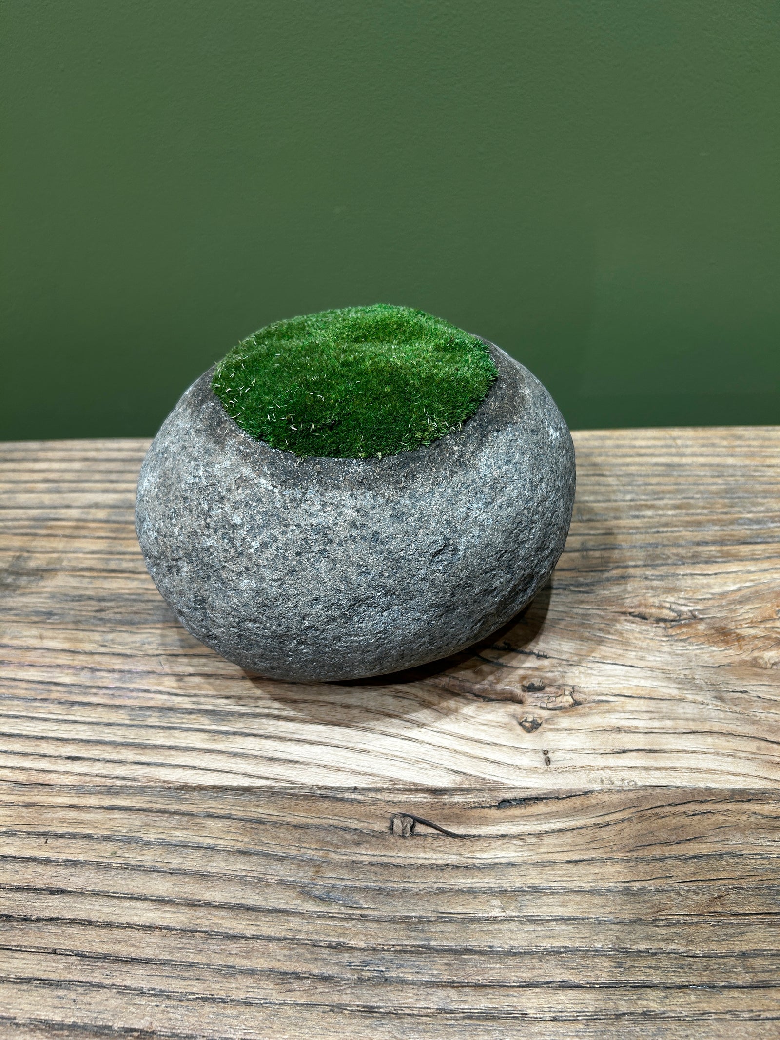 Indo Riverstone planted with Preserved Moss FR66