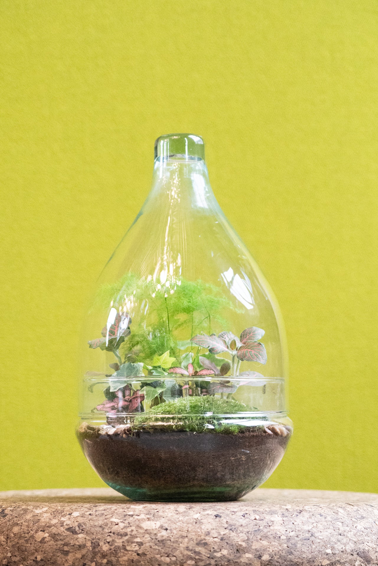 Teardrop Terrarium