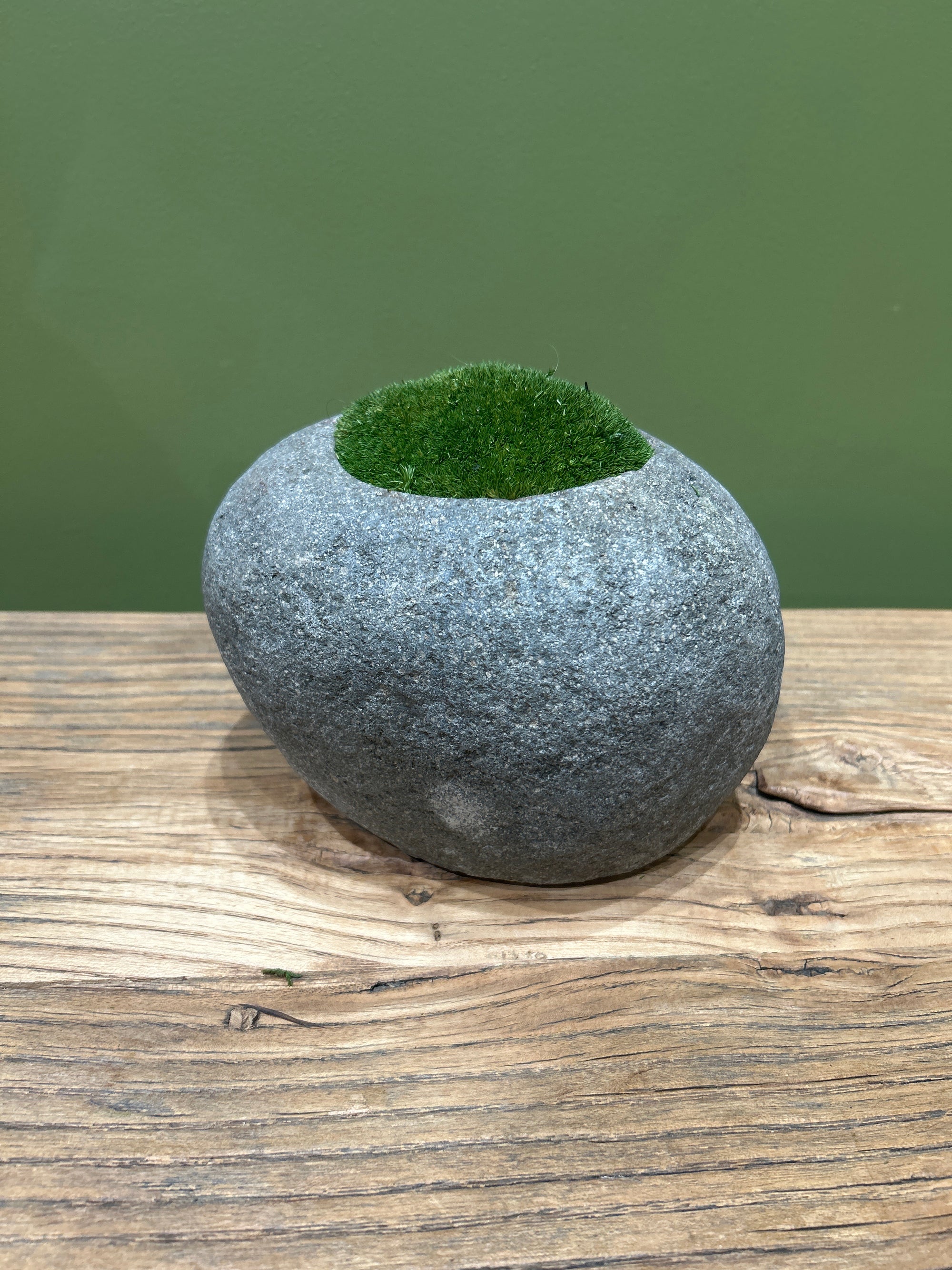 Indo Riverstone planted with Preserved Moss FR68