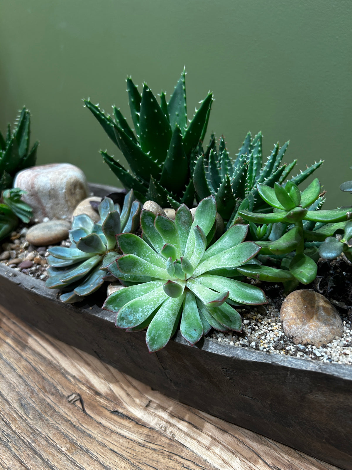 Mokoro Canoe with Succulent Garden Table Display FR64