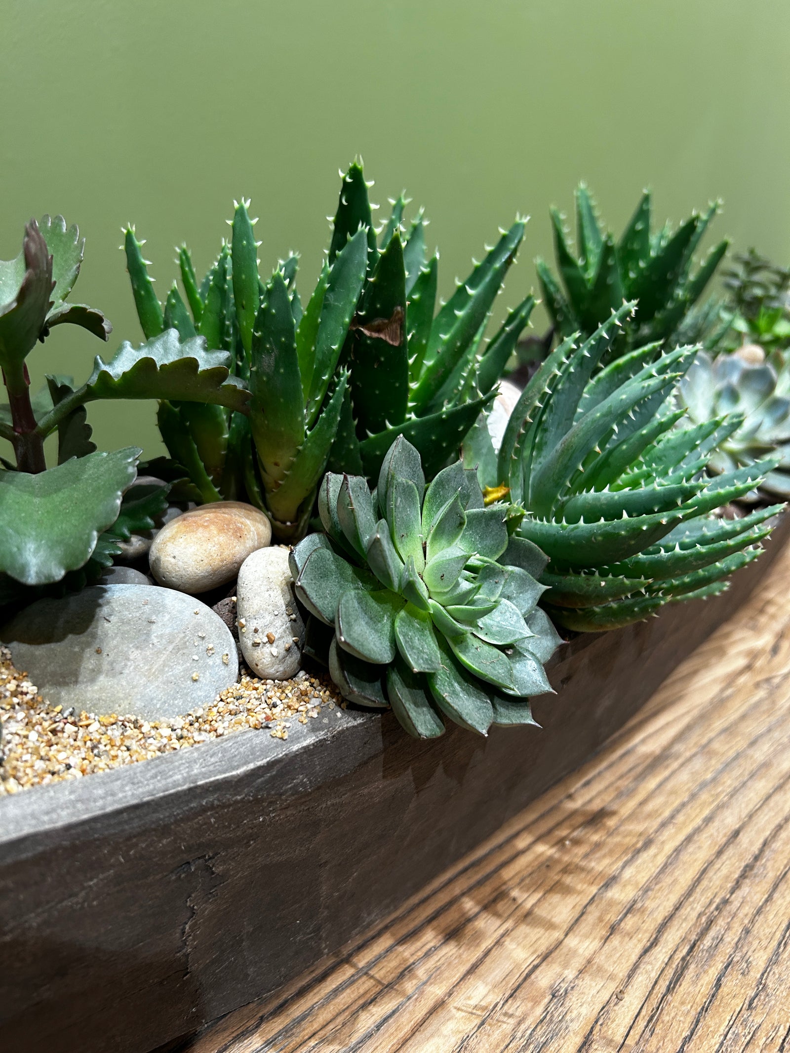 Mokoro Canoe with Succulent Garden Table Display FR64