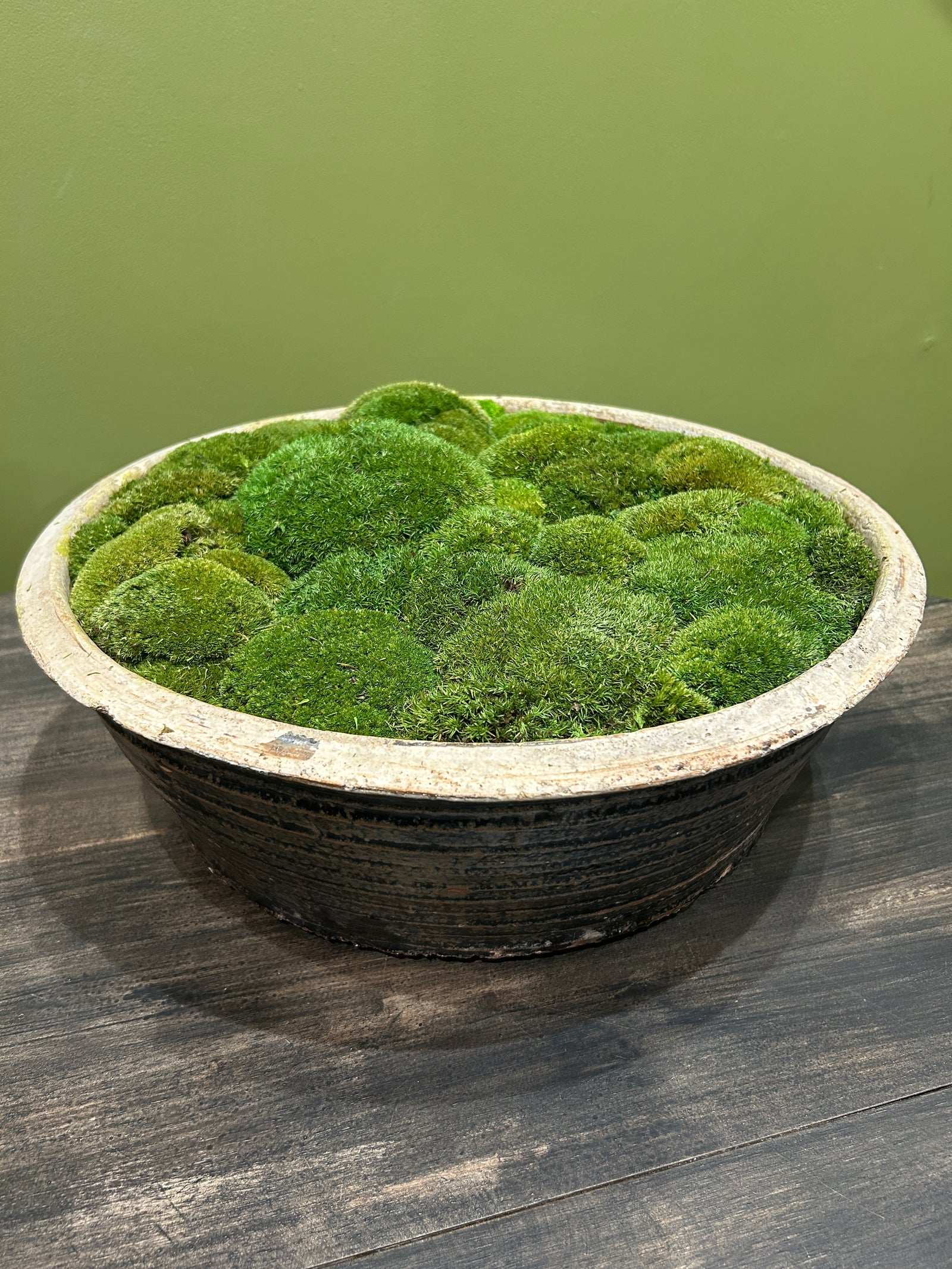 Preserved cushion moss in a low glazed black Asian bowl, 47cm diameter