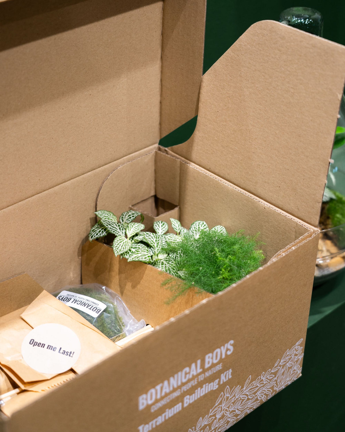 Tall Cork Jar Kit- Large