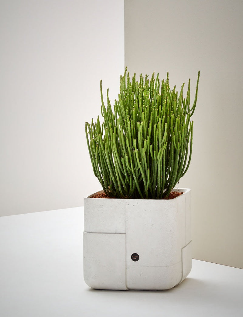 Aarde Planter
