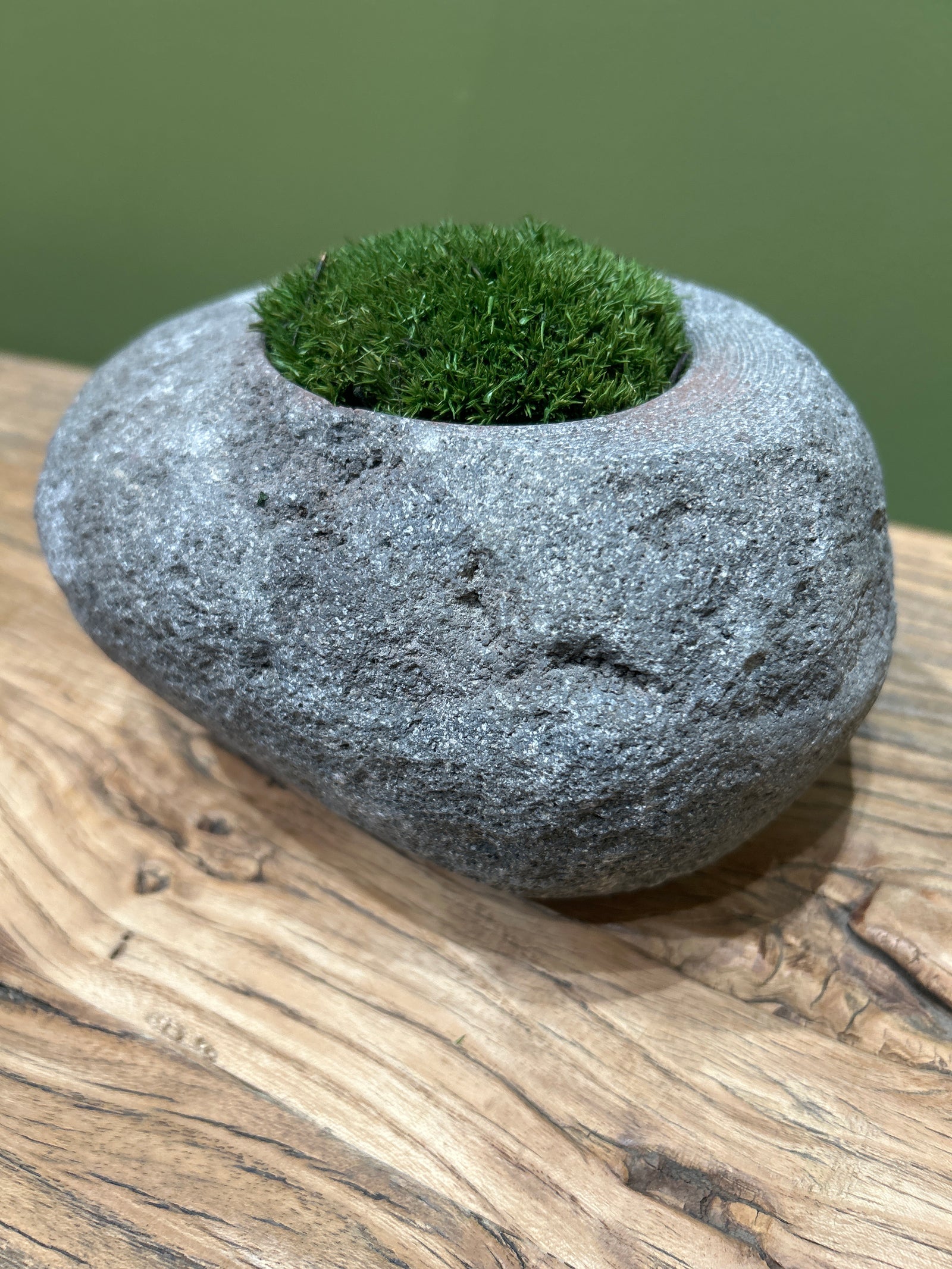 Indo Riverstone planted with Preserved Moss FR71