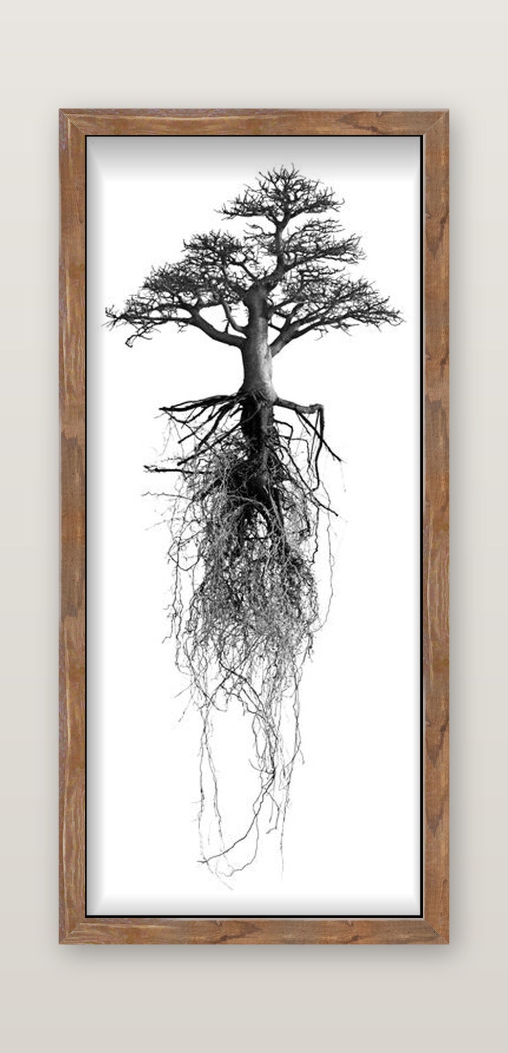 framed